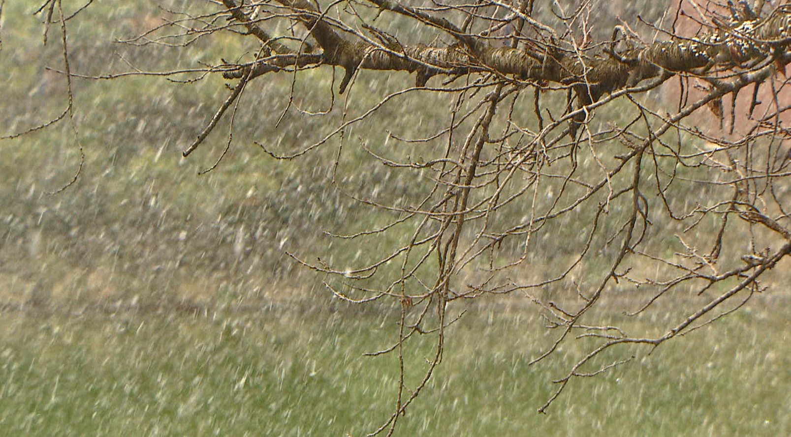 전북 곳곳 비·눈.. 낮 기온 한자릿수 머물러