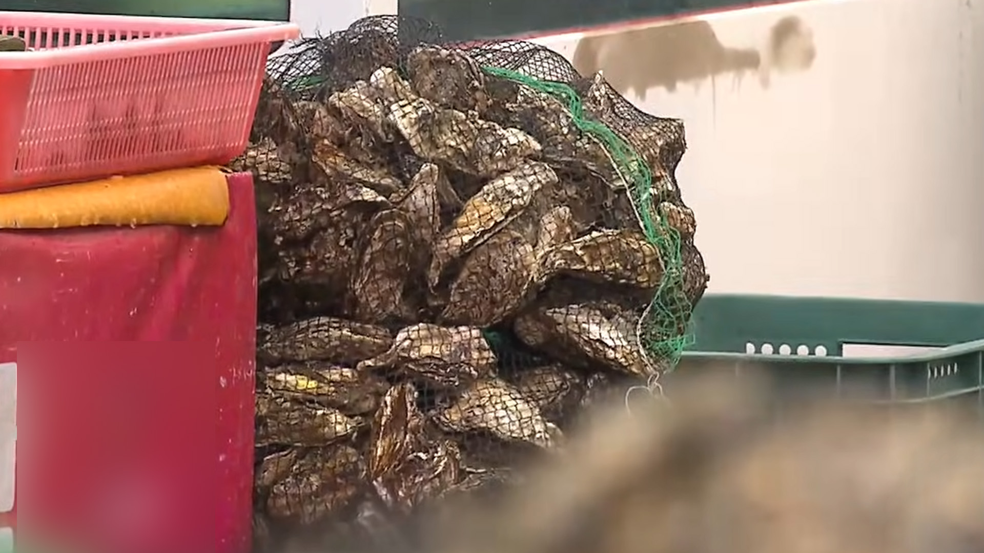 노로바이러스 겨울철 발생 비중이 53%