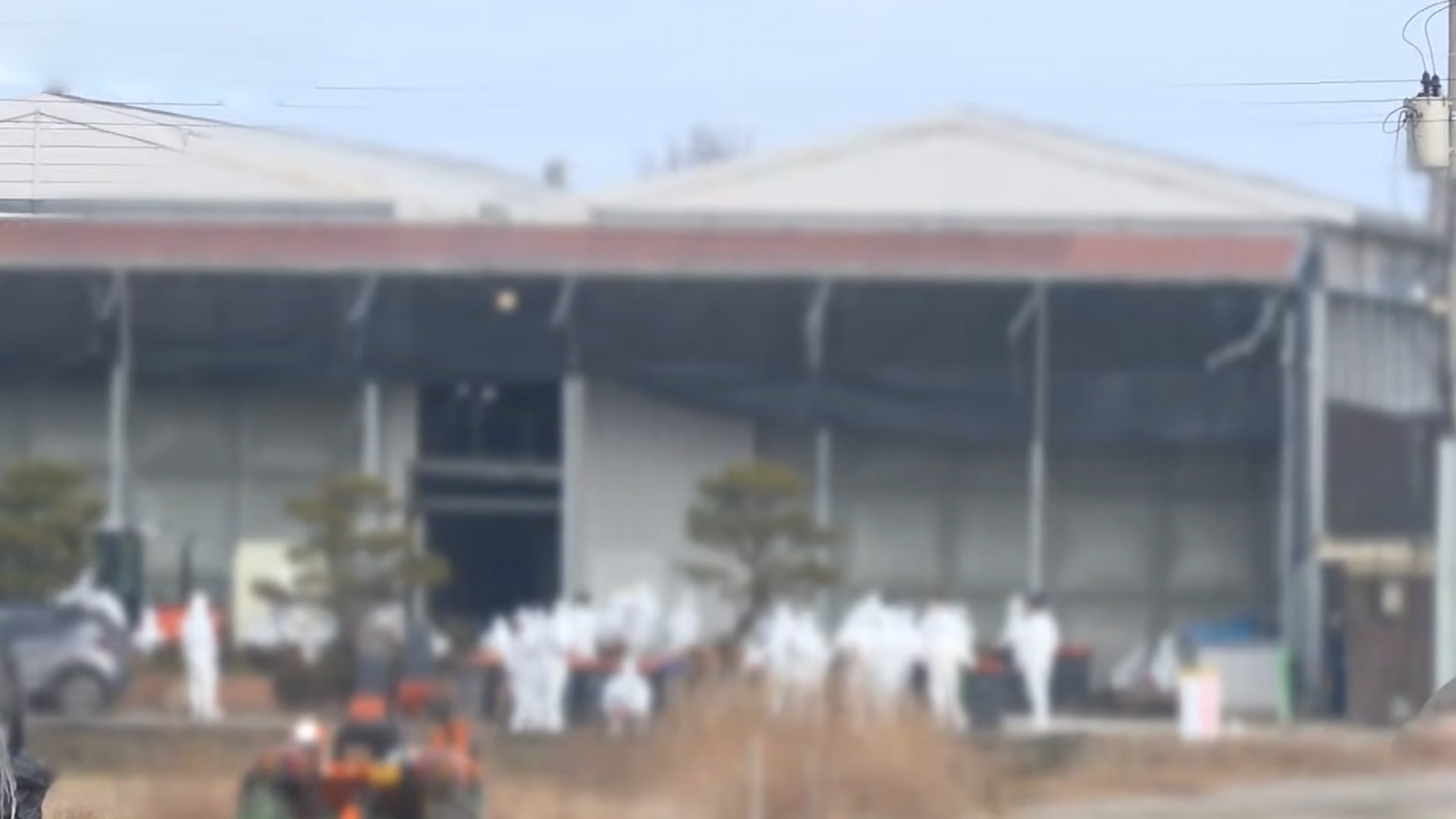 전북 첫 고병원성 조류인플루엔자 차단 강화.. 검사·소독 집중