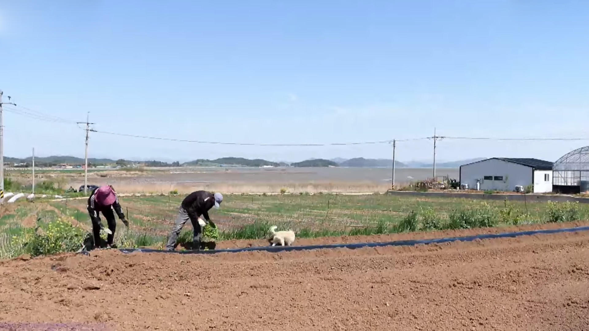 김제·고창·진안, '농촌서비스 협약' 대상 선정