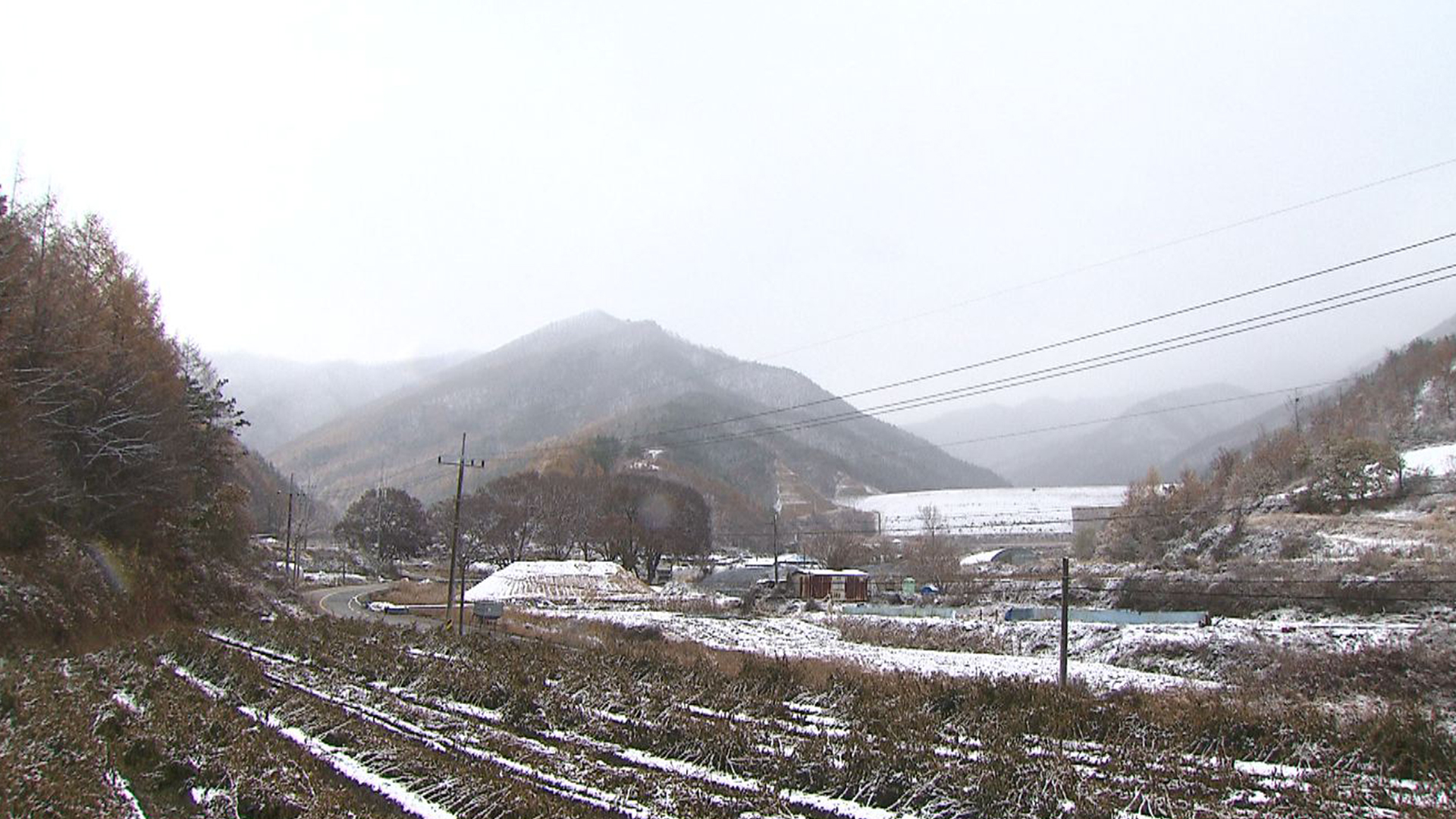 많은 곳 10cm 이상 '눈'.. 내일 아침 -8도 강추위