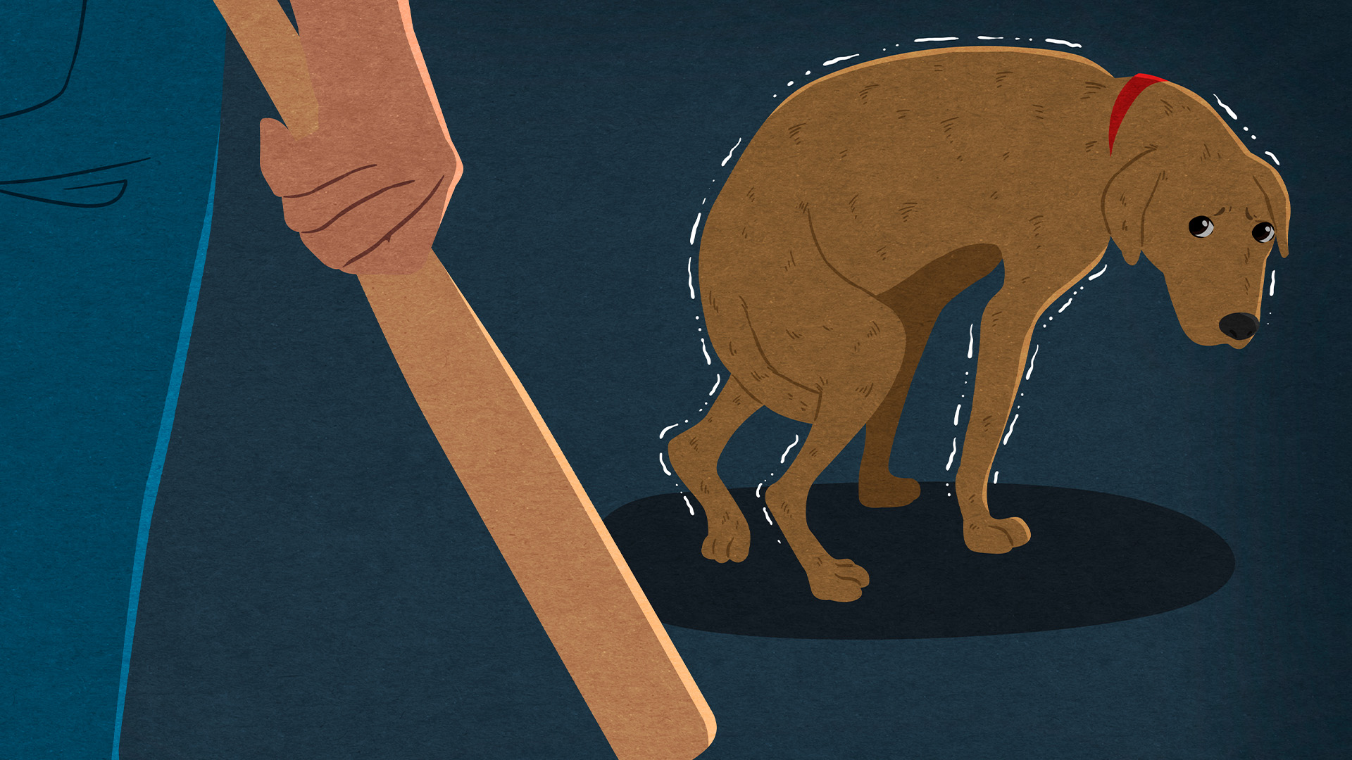 애견유치원 '학대 의혹' 포착.. 견주들 법적 대응 예고