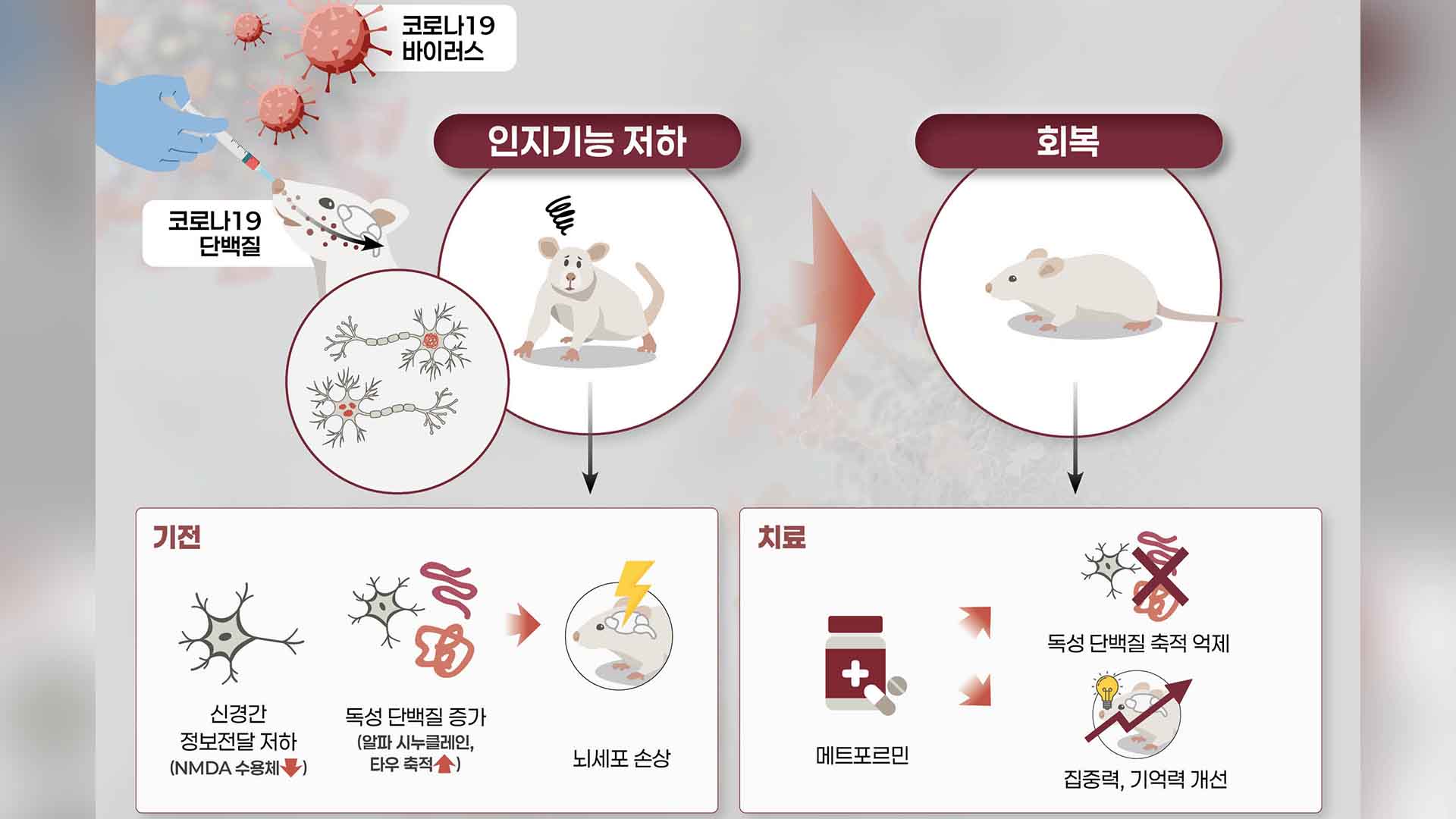 코로나19 걸렸더니 '기억력 저하?'.. 