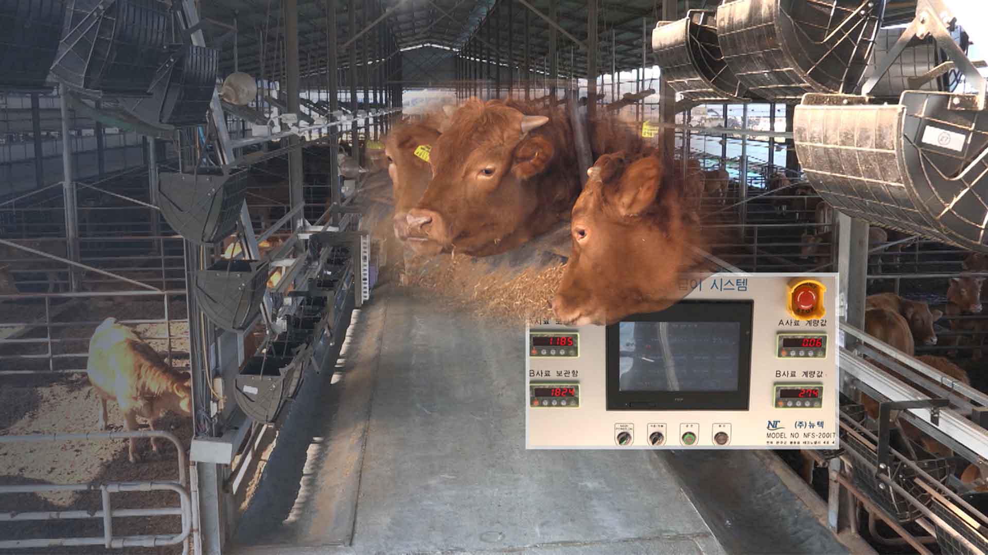 한우 생산에도 첨단 기술이.. '무인 축산 시대' 성큼