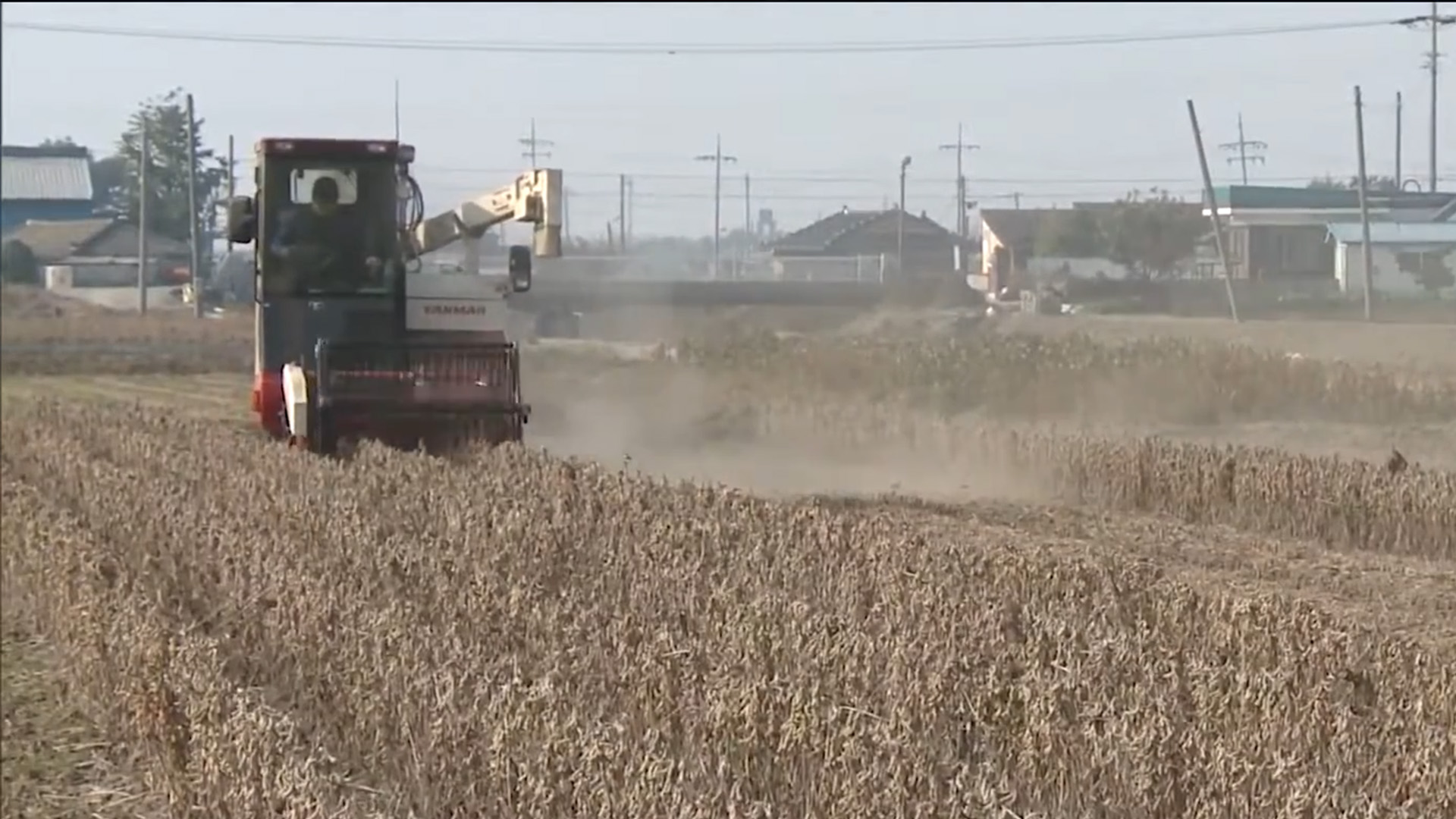 국산 콩 매입 시작.. 전북 매입 물량 전국의 51%