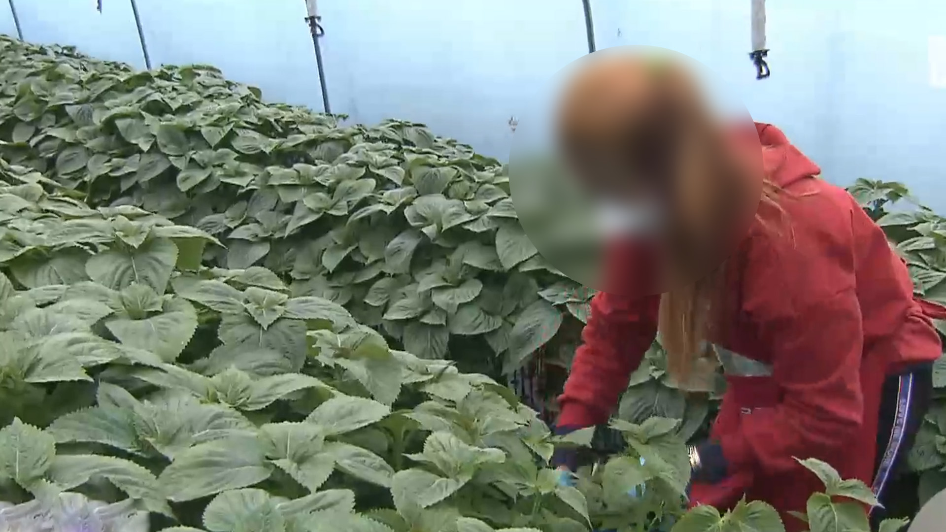 한파 대비 외국인 노동자 고용 현장 점검