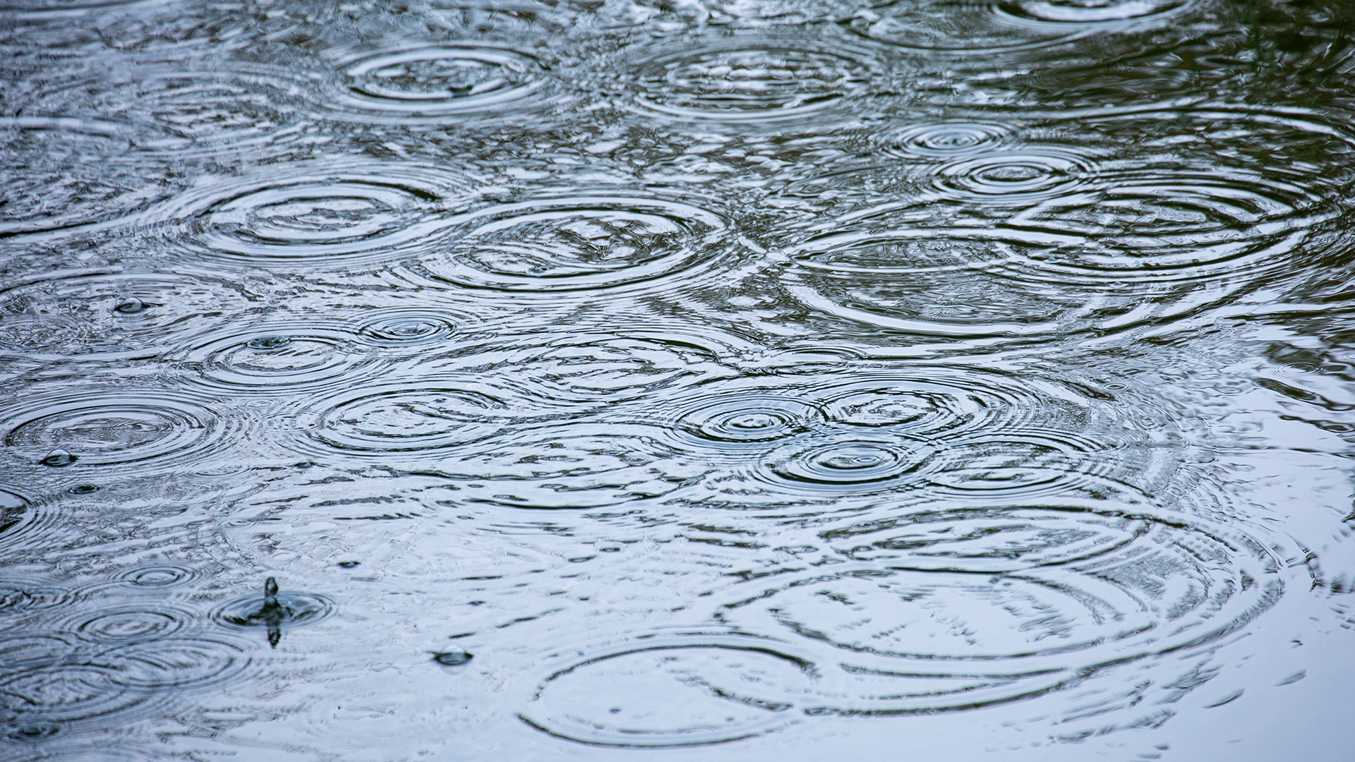흐리고 약한 빗방울.. 낮 최고 9~13도