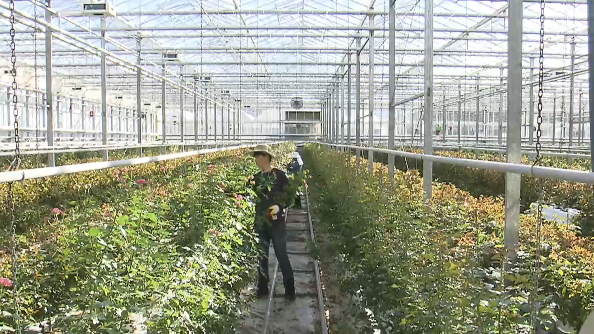 청년농 공공비축 임대농지 공급 대폭 늘려