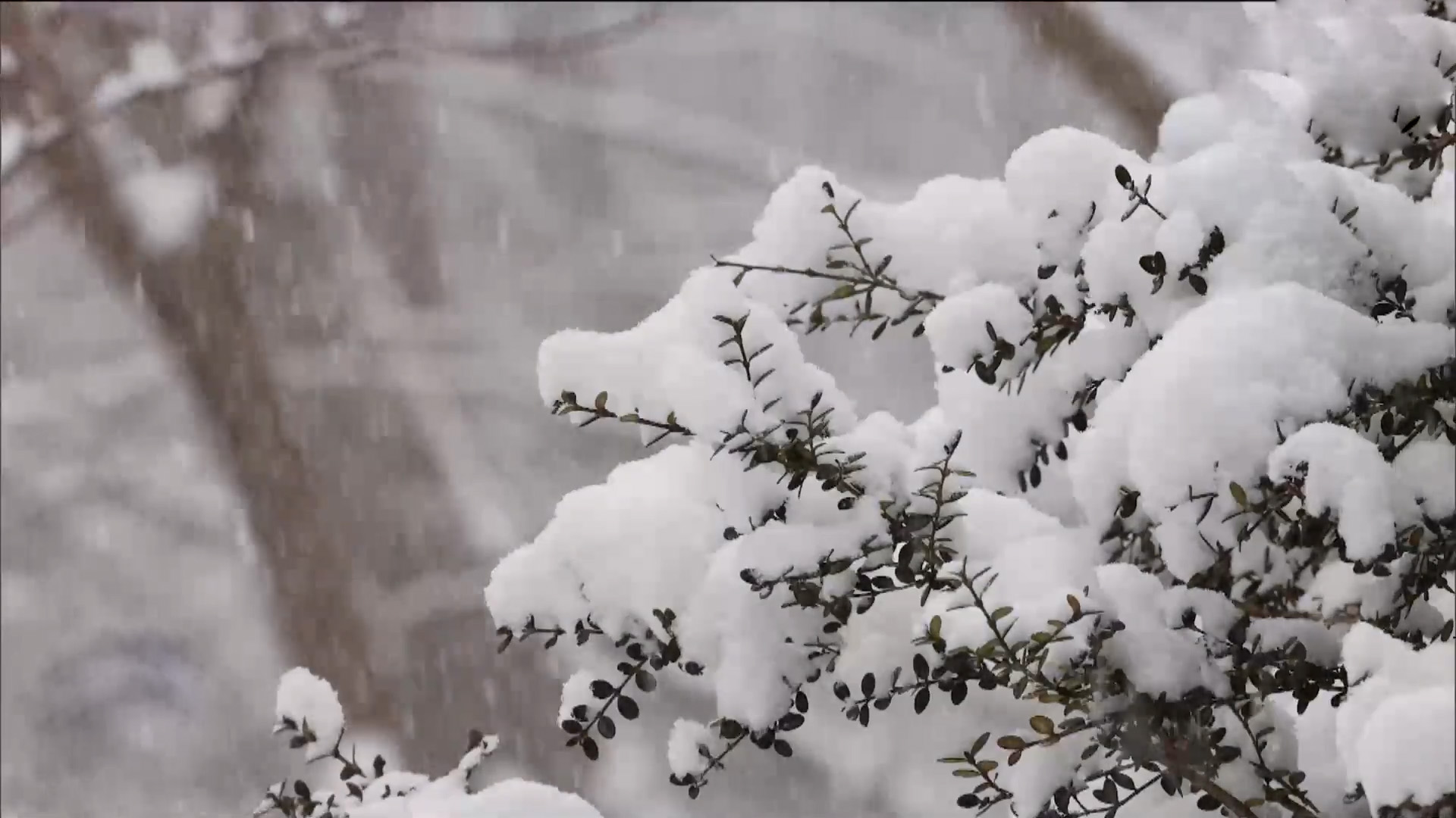 울릉도 최고 30cm 폭설 전망.. 수도권·강원 등 한파 특보 유지