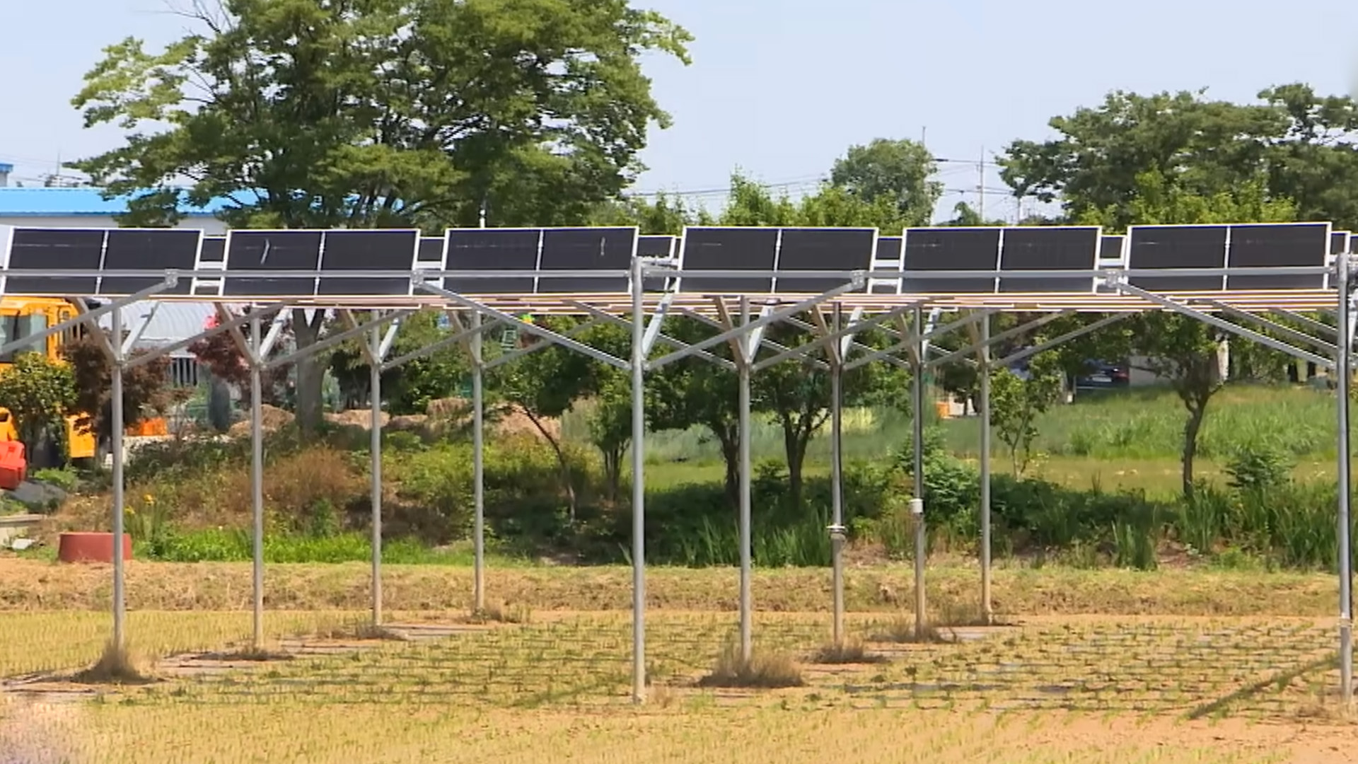 영농형태양광 허가 실경작자로 제한