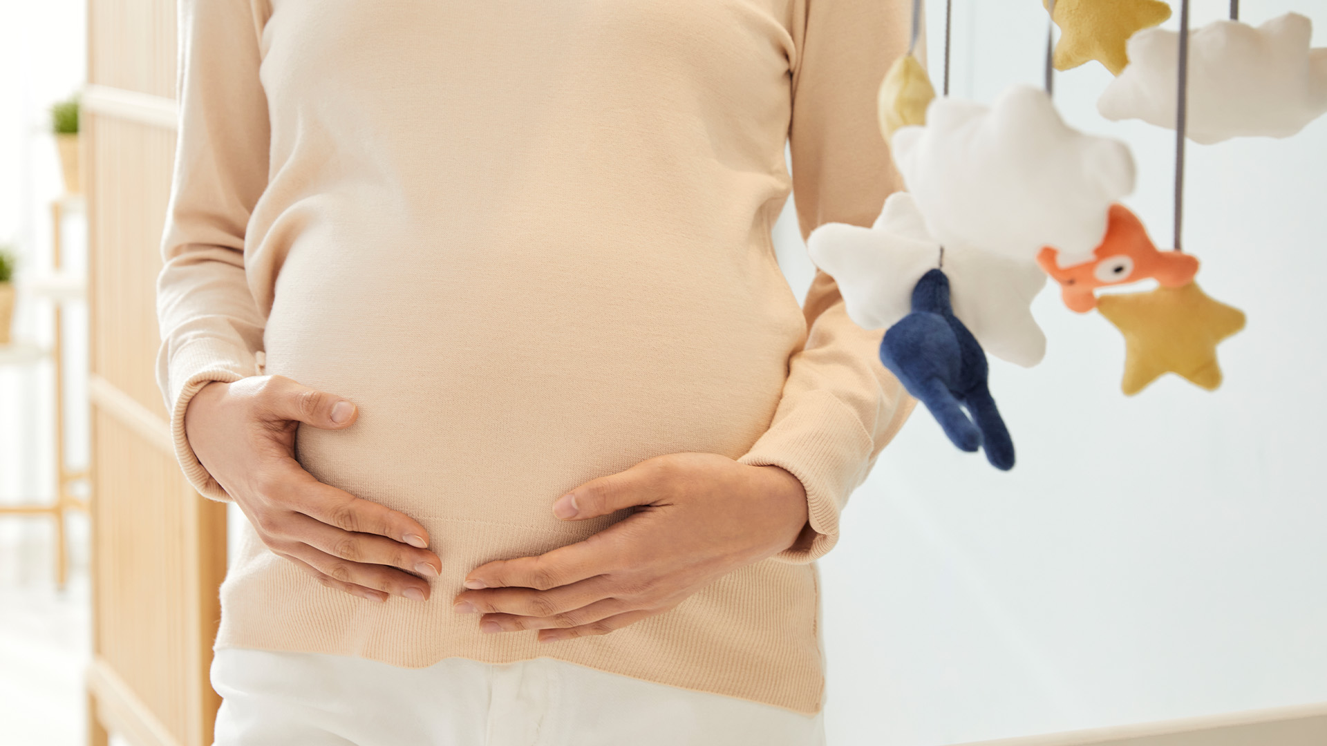 이동형 산부인과 차량 도입 전북은 언제나?