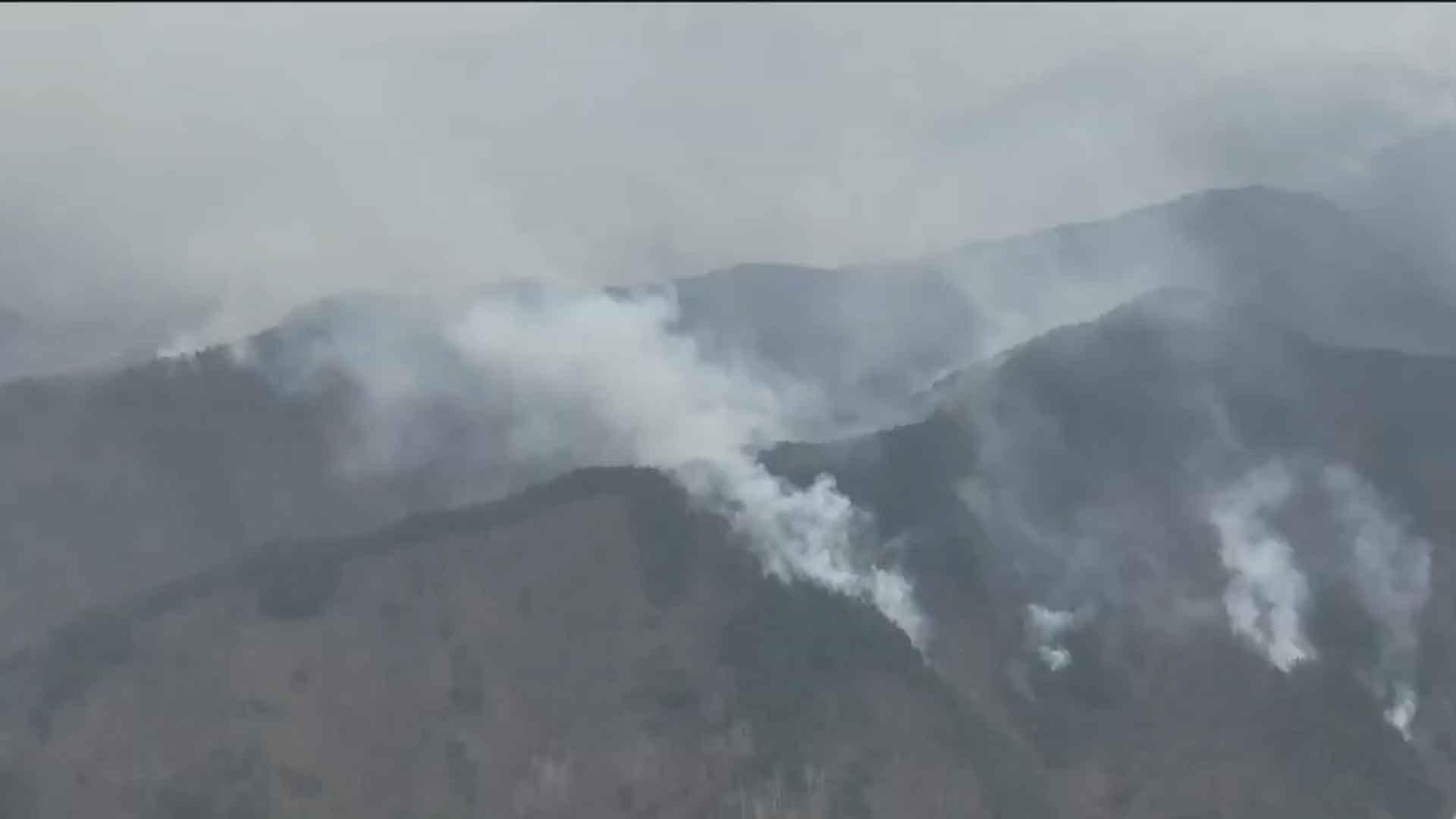 전북도, 산불 차단 활동 본격화.. 취약지역 집중 감시