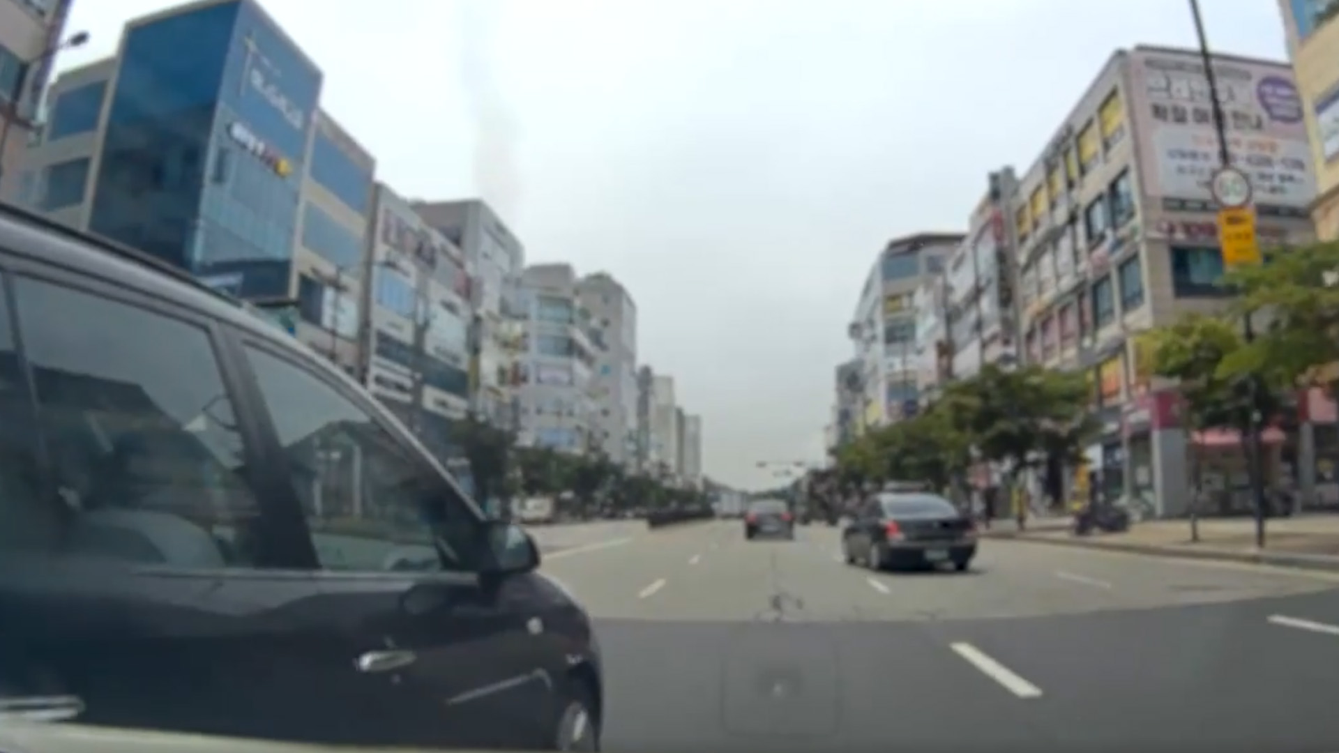 미성년 자녀 태우고 '고의 사고'.. 보험사기 부부· 장모 적발