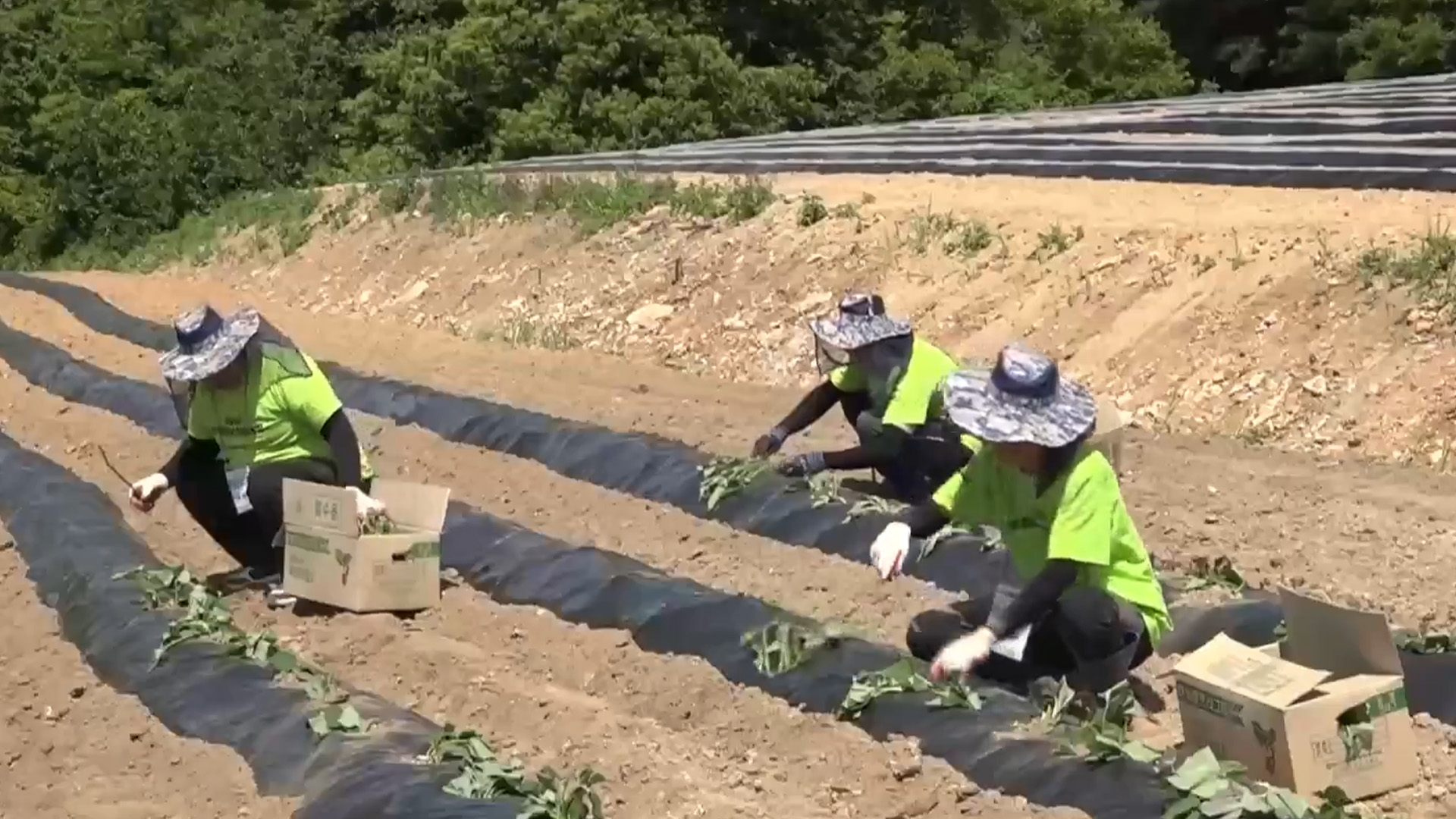 익산시, 귀농·귀촌 사업 연령 제한 폐지.. 전입 요건 완화