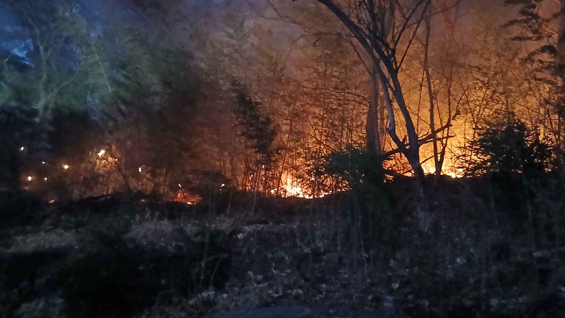 순창 쌍치면 산불 완진.. 임야 0.08헥타르 소실