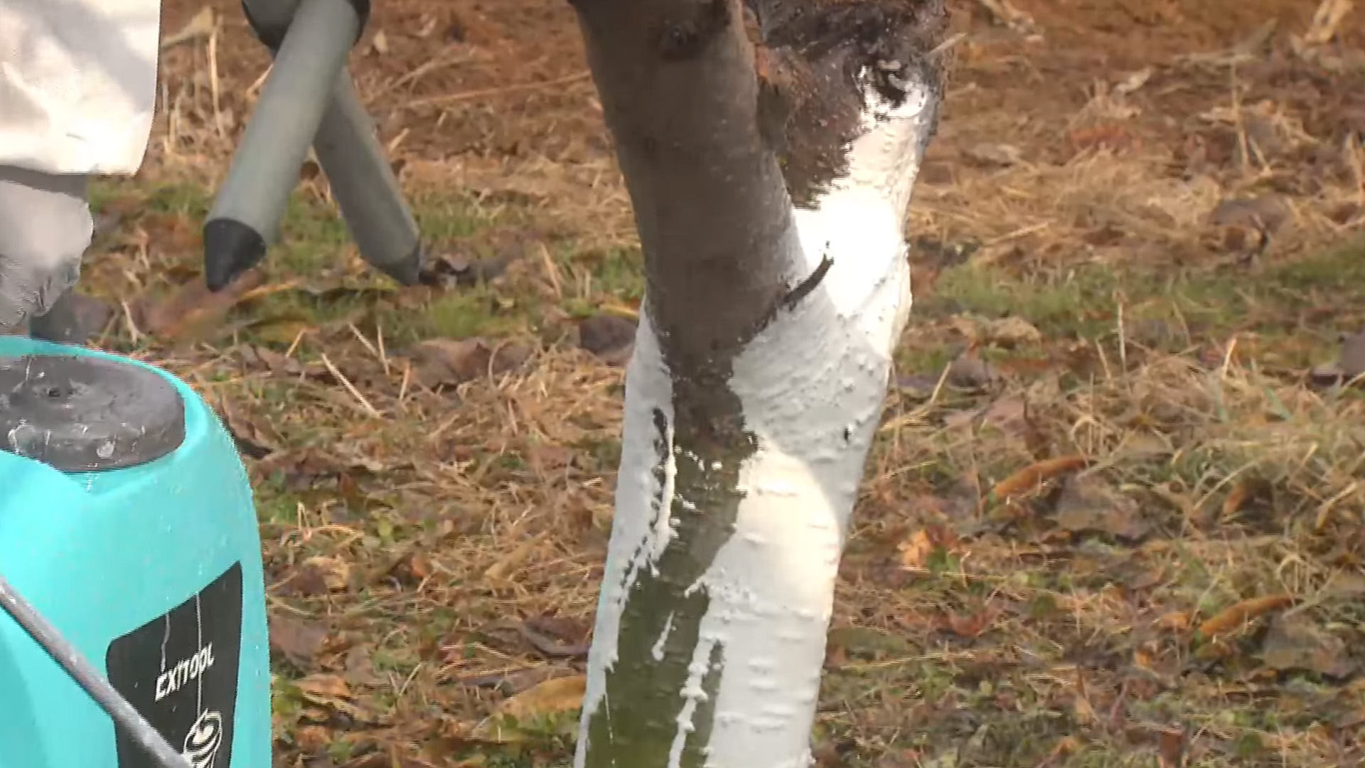 원예·특작 신기술도 '기후변화·노동력 부족' 대응