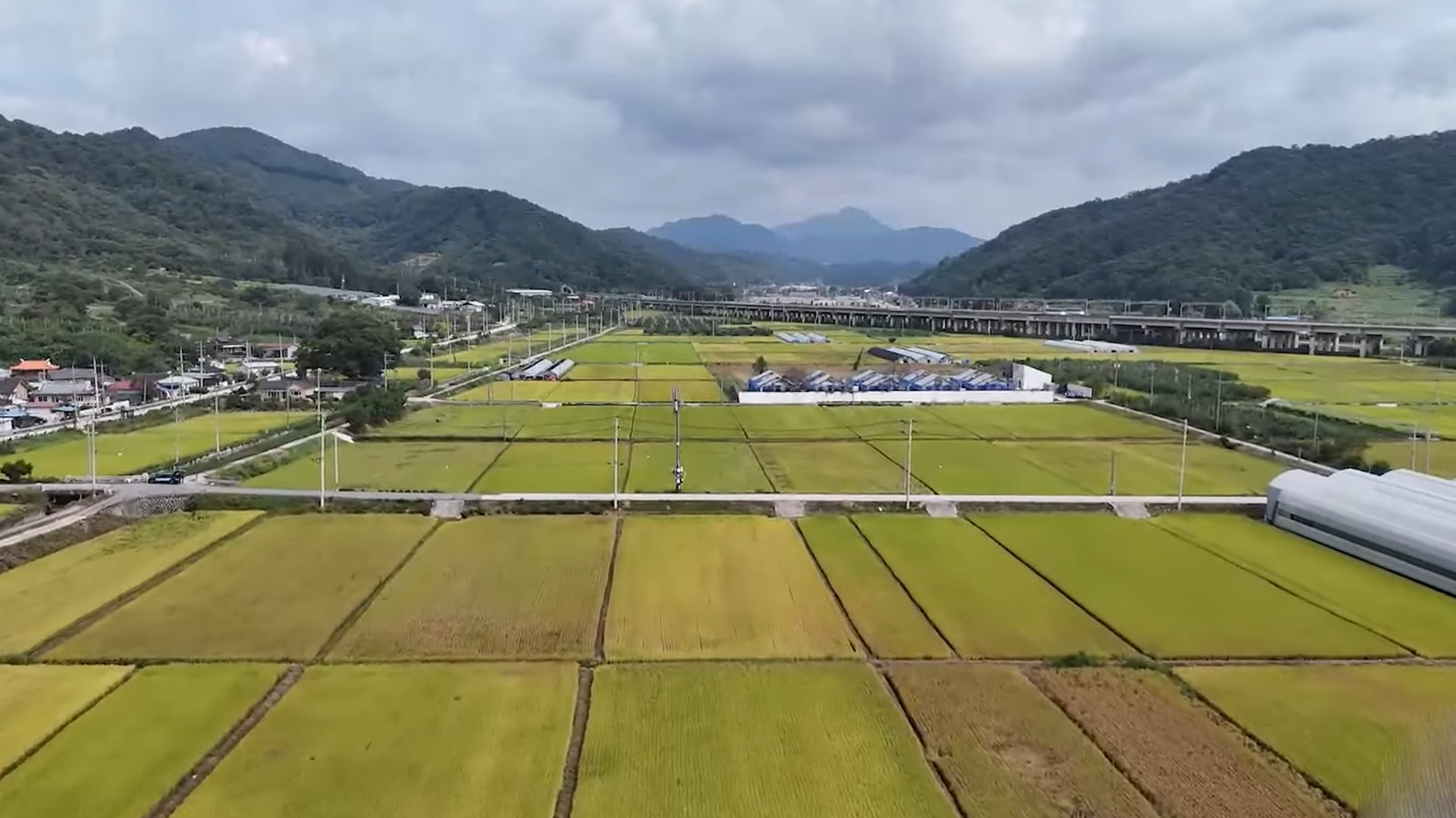 국내 식량자급률 47.9% 그쳐.. 해마다 줄어