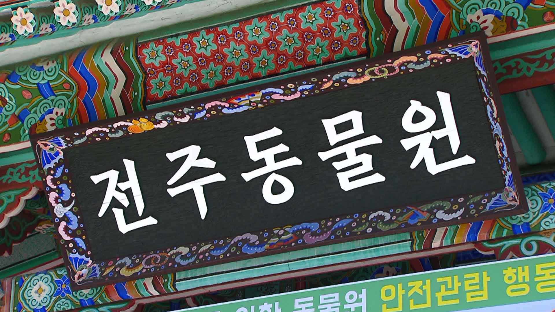 전주동물원, 설 연휴 기간 정상 운영