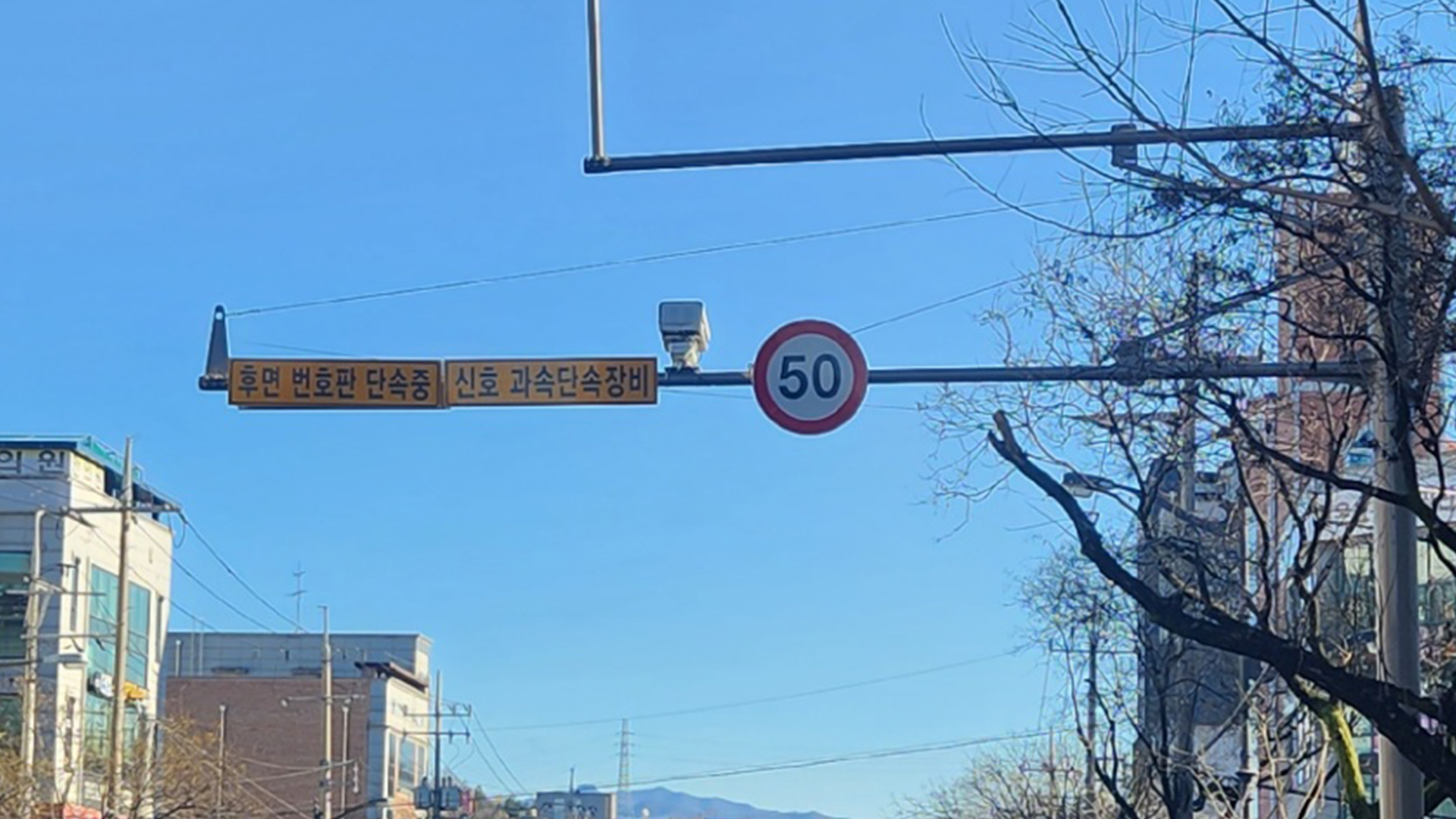 지난해 전북 지역 후면 단속 카메라에 1만 7천여 대 적발