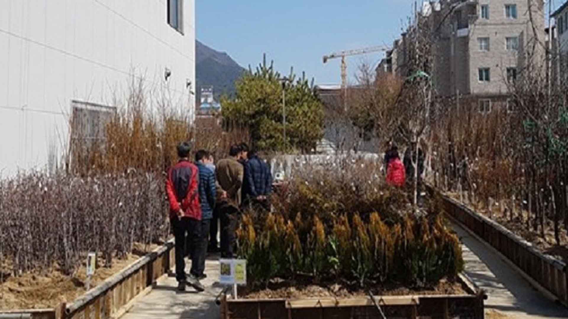 고창군산림조합, 27일부터 봄맞이 '나무시장' 운영