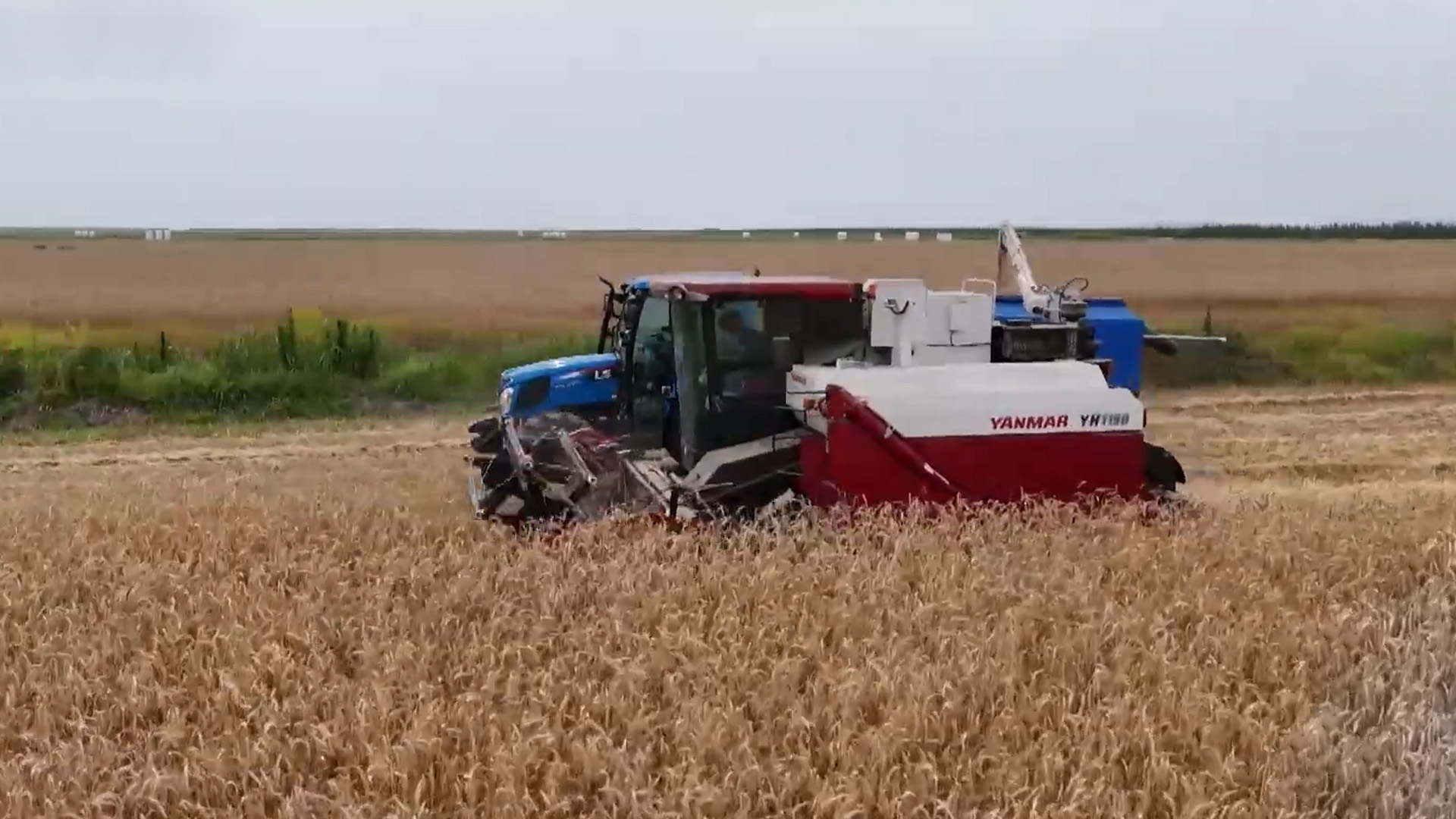 군산 쌀 이용 급식소·식당에 포대당 5,000원 지원