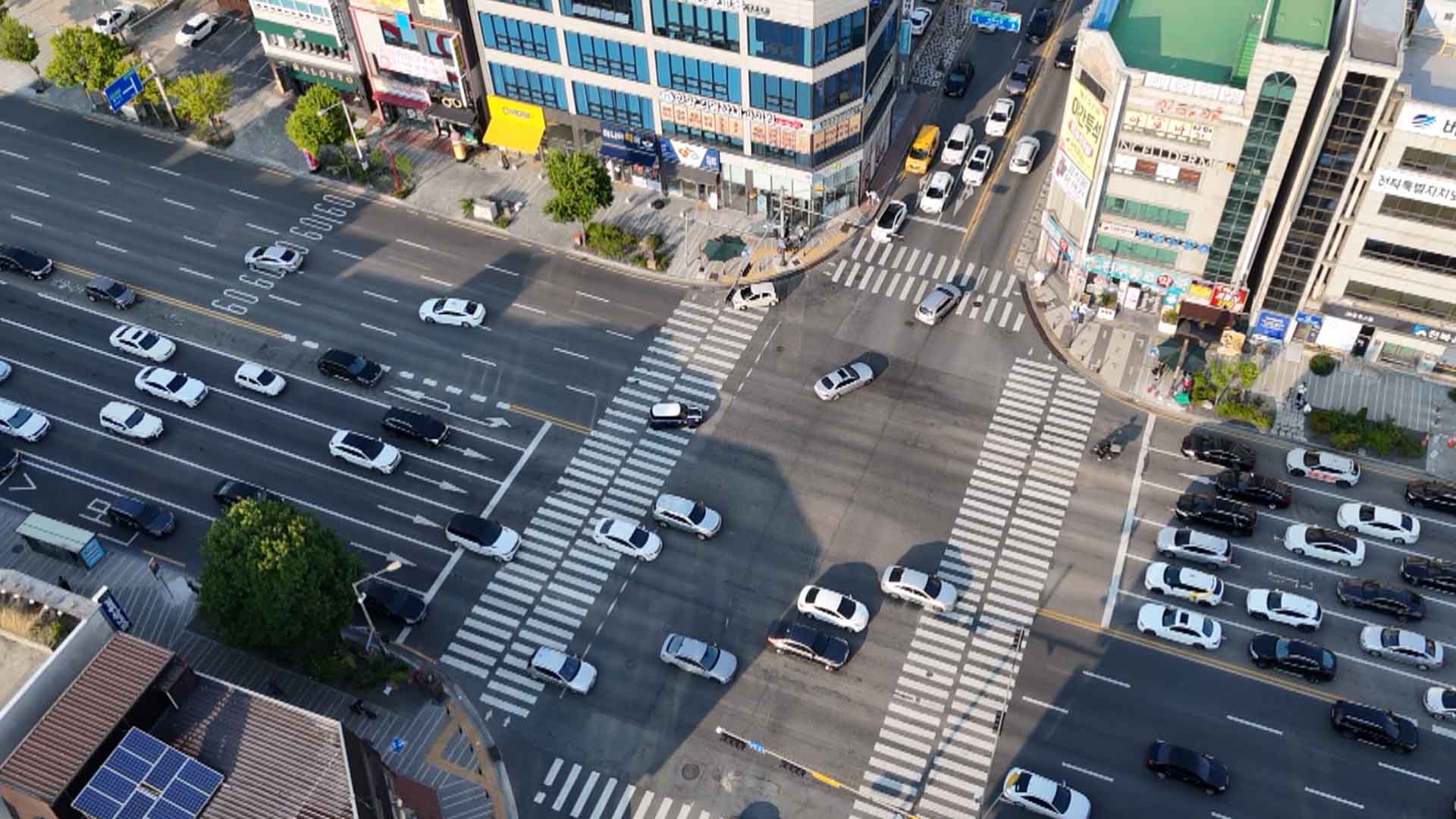 지난해 우회전 사고로 6명 숨져.. 다음달부터 대대적 단속