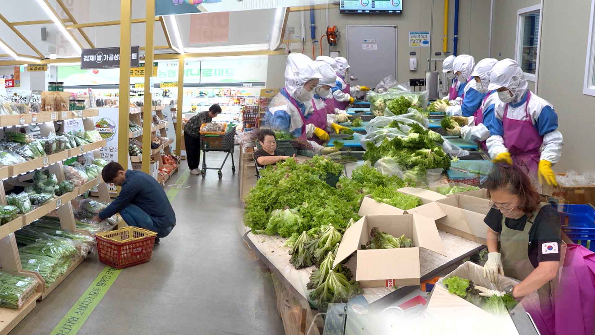 동김제농협 '샐러드 채소' 군 장병들에 제공