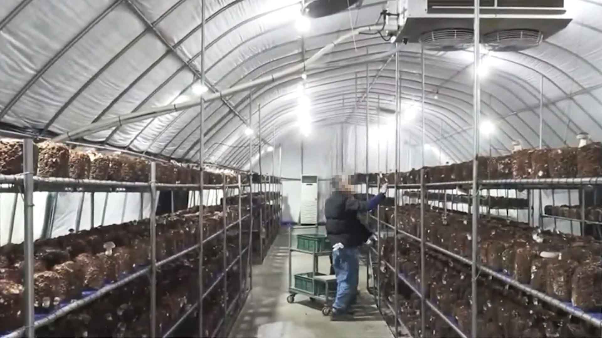 전북도, 농가 소득 안정 위해 임업직불금 신청 접수