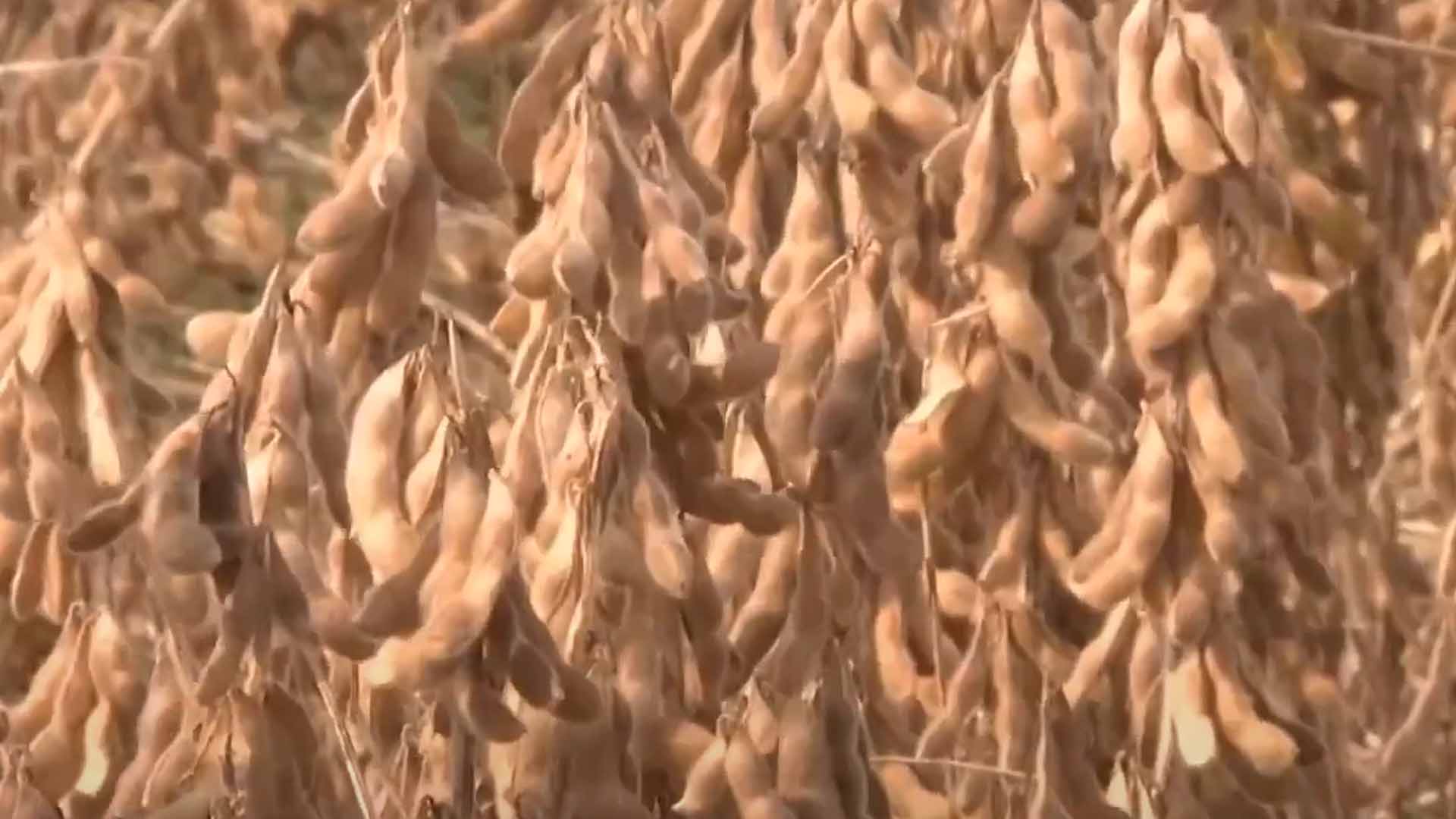 청년 공동영농 확산 사업.. 김제·부안 선정