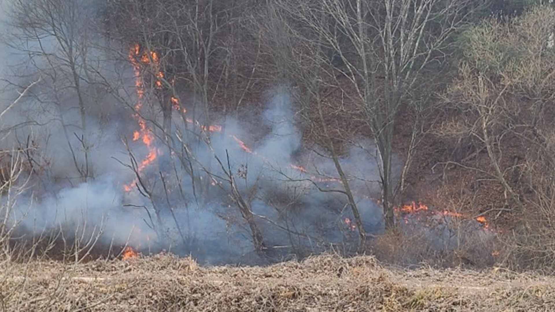 남원 덕과면 야산 산불.. 30분만에 진화