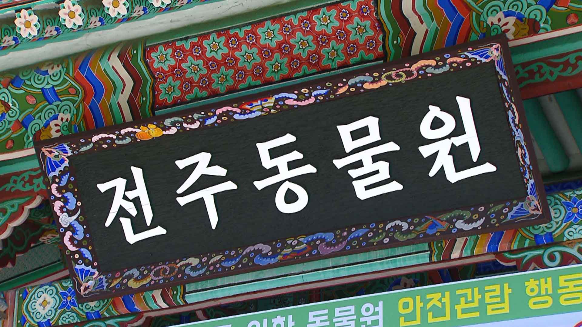 전주동물원, 어린이날 '초등생 이하' 무료 입장