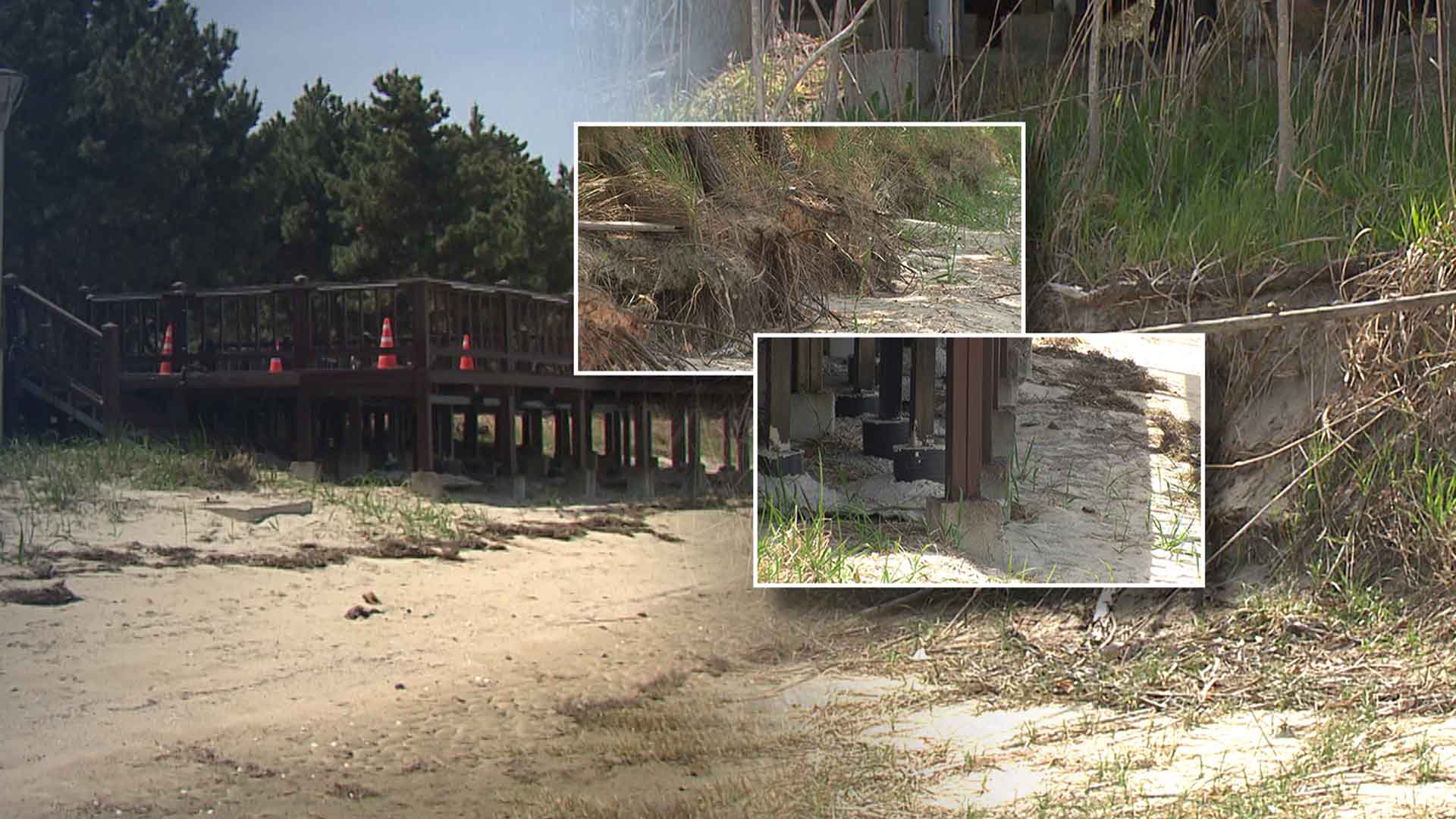 '기분 탓' 아닌 해변 축소.. 