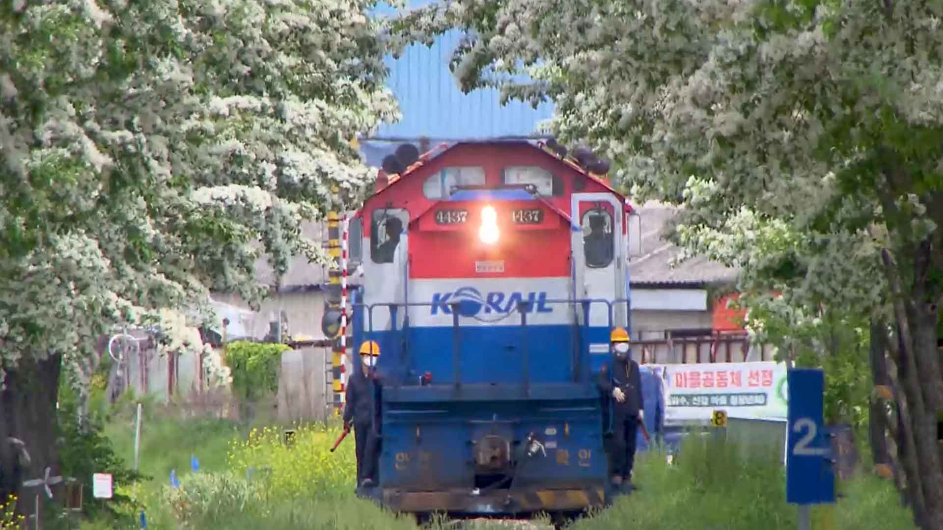 전주 이팝나무 축제, 오는 25일·내달 1일 두 차례 개최