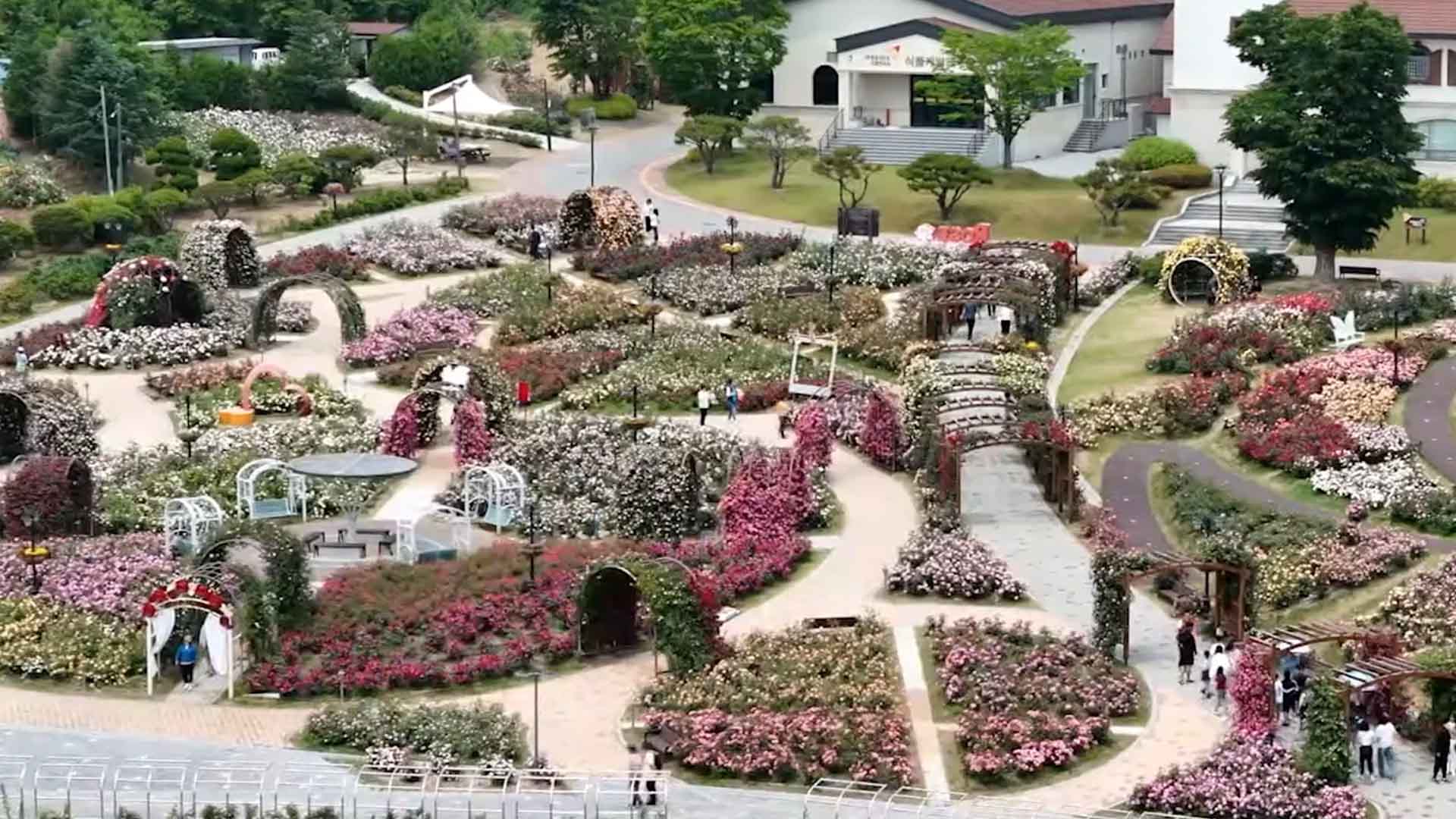 임실, 장미축제 연계 고향사랑기부 이벤트 마련 [글로컬소식]