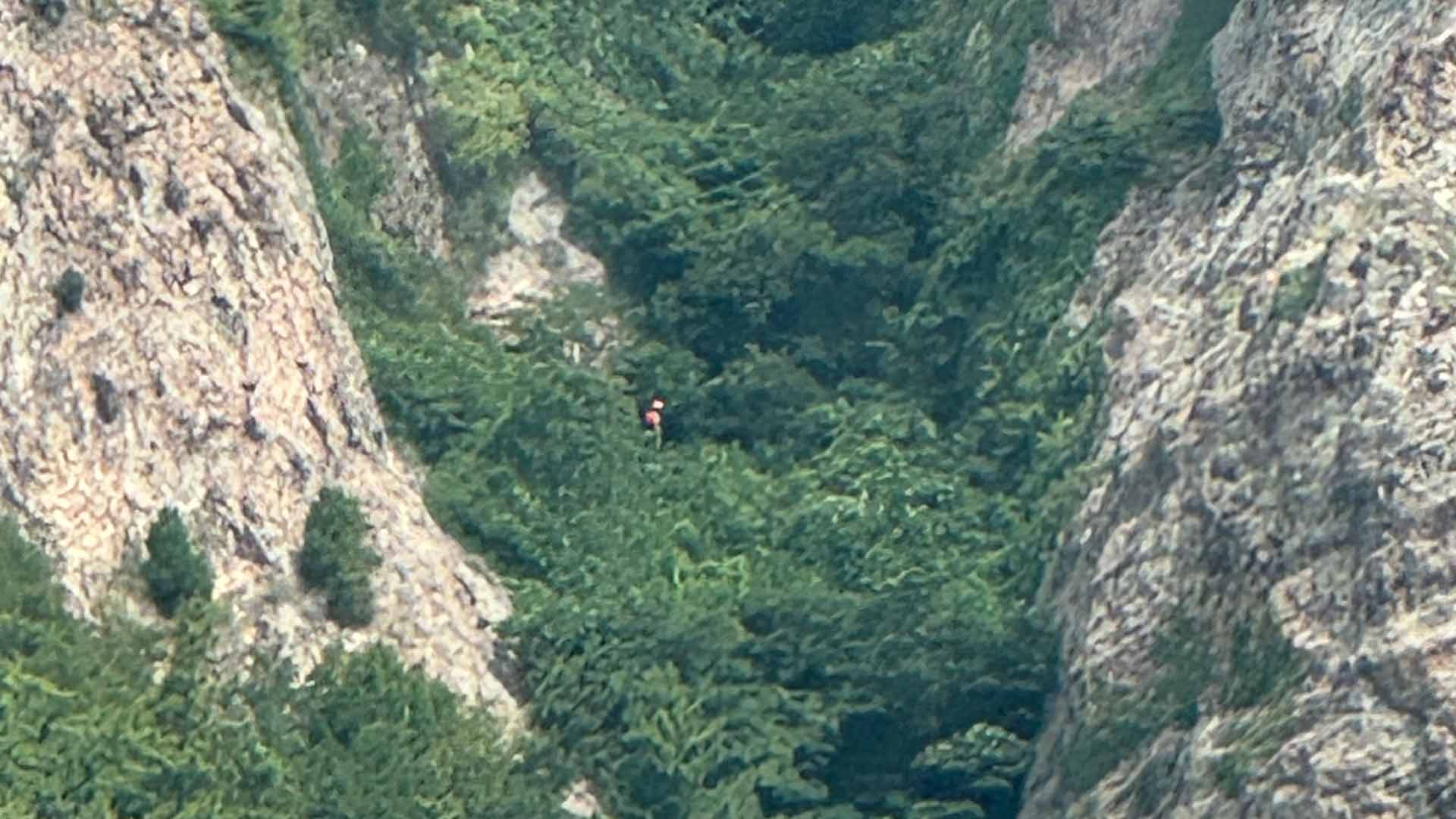 군산 선유봉에서 등산객 추락 신고.. 소방 등 수색 중