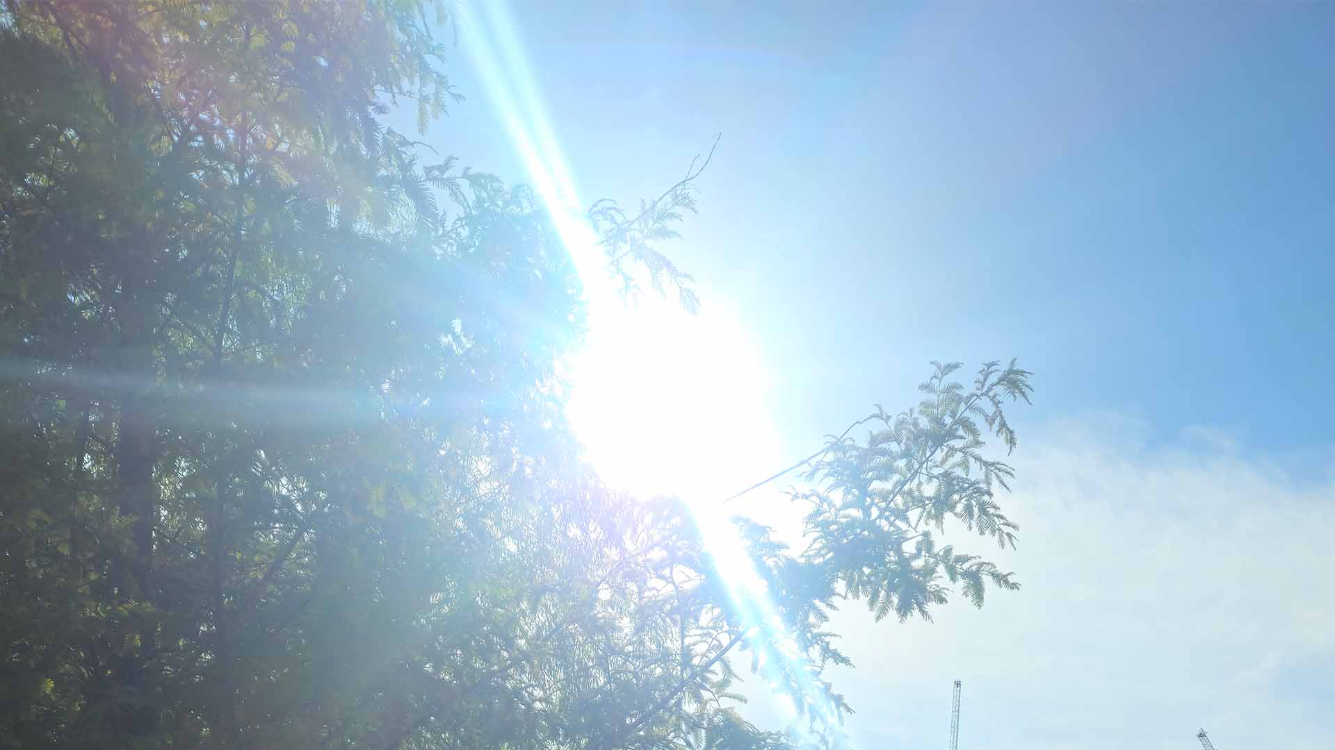 체감기온 33~35도.. 온열질환 유의 필요