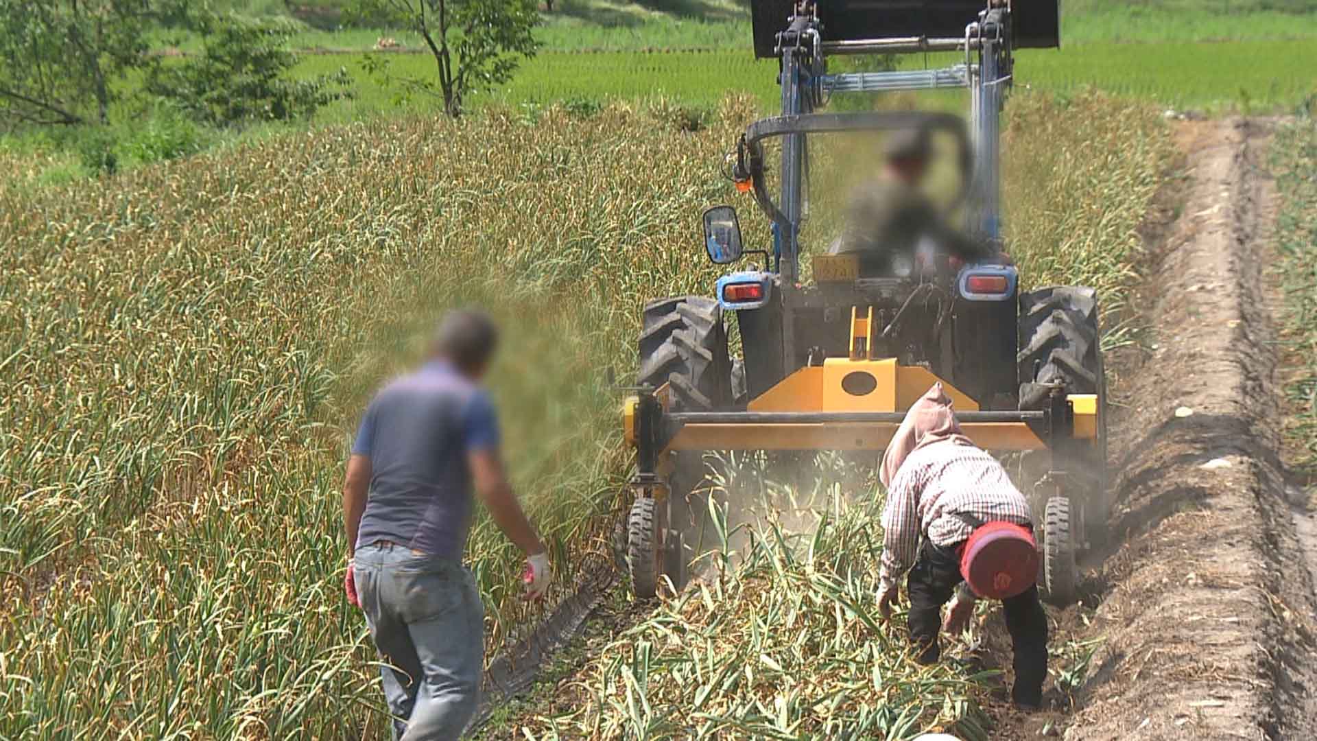 전북 '공익직불금' 신청, 