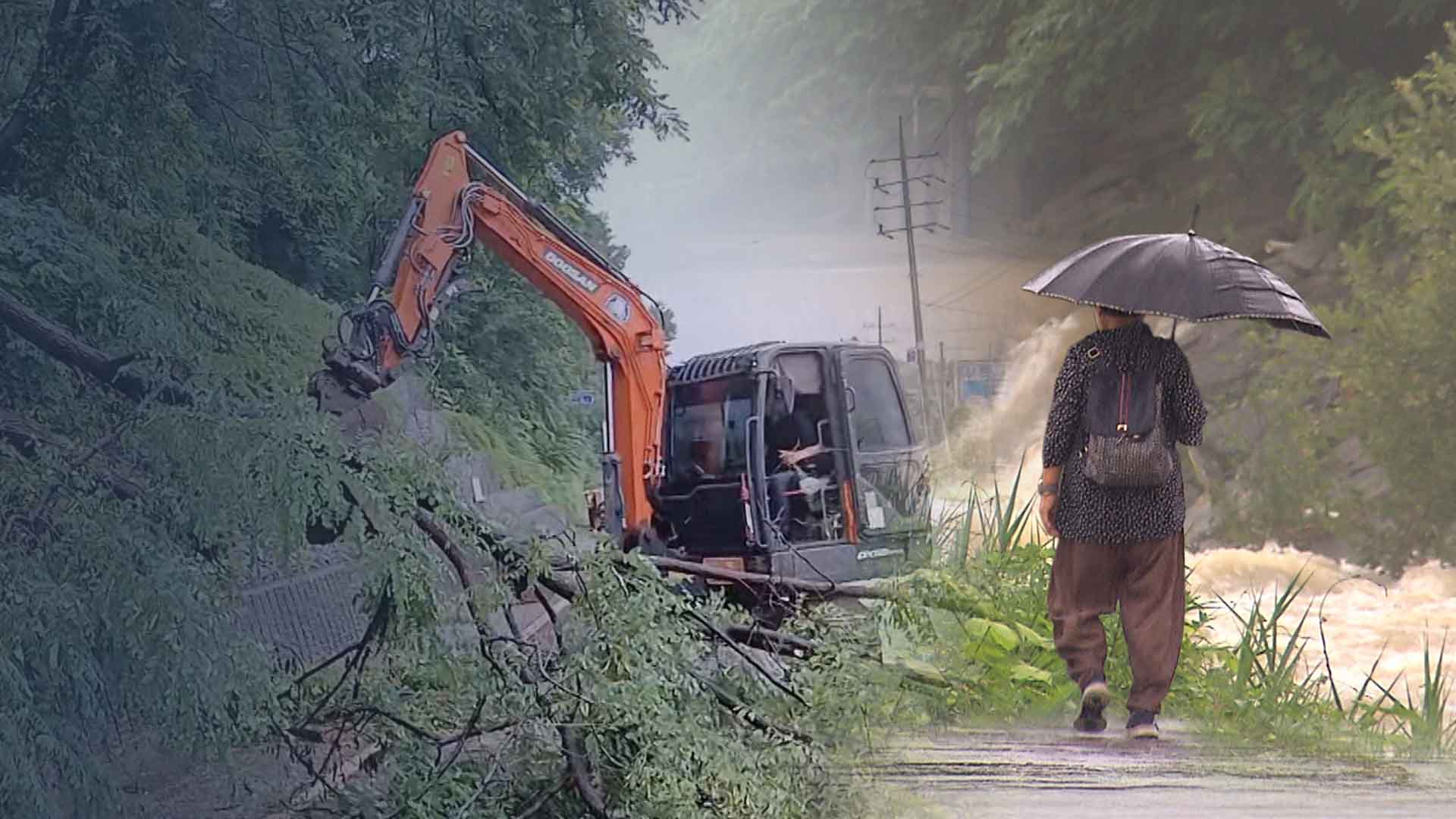 전북도, 집중호우·산사태 대비 사방사업 진행