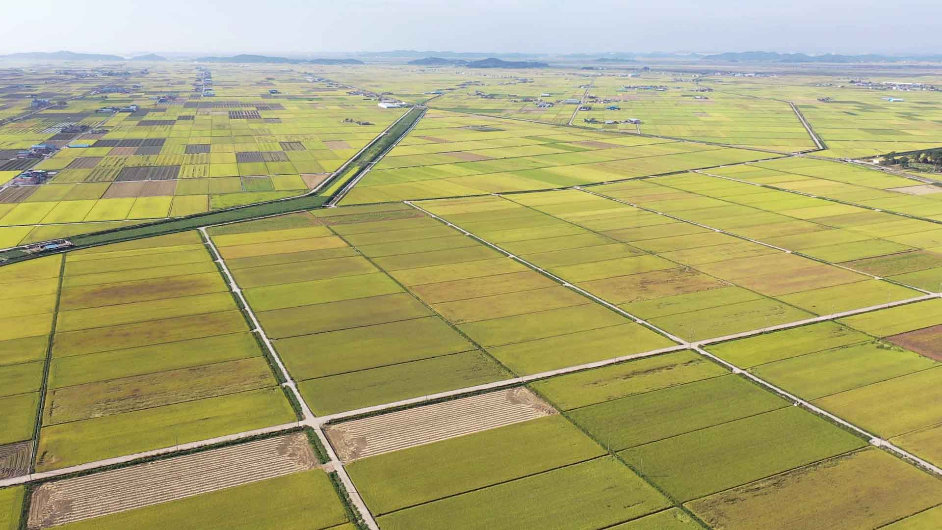 농지전수조사 내일(1일)부터 심층조사 시작