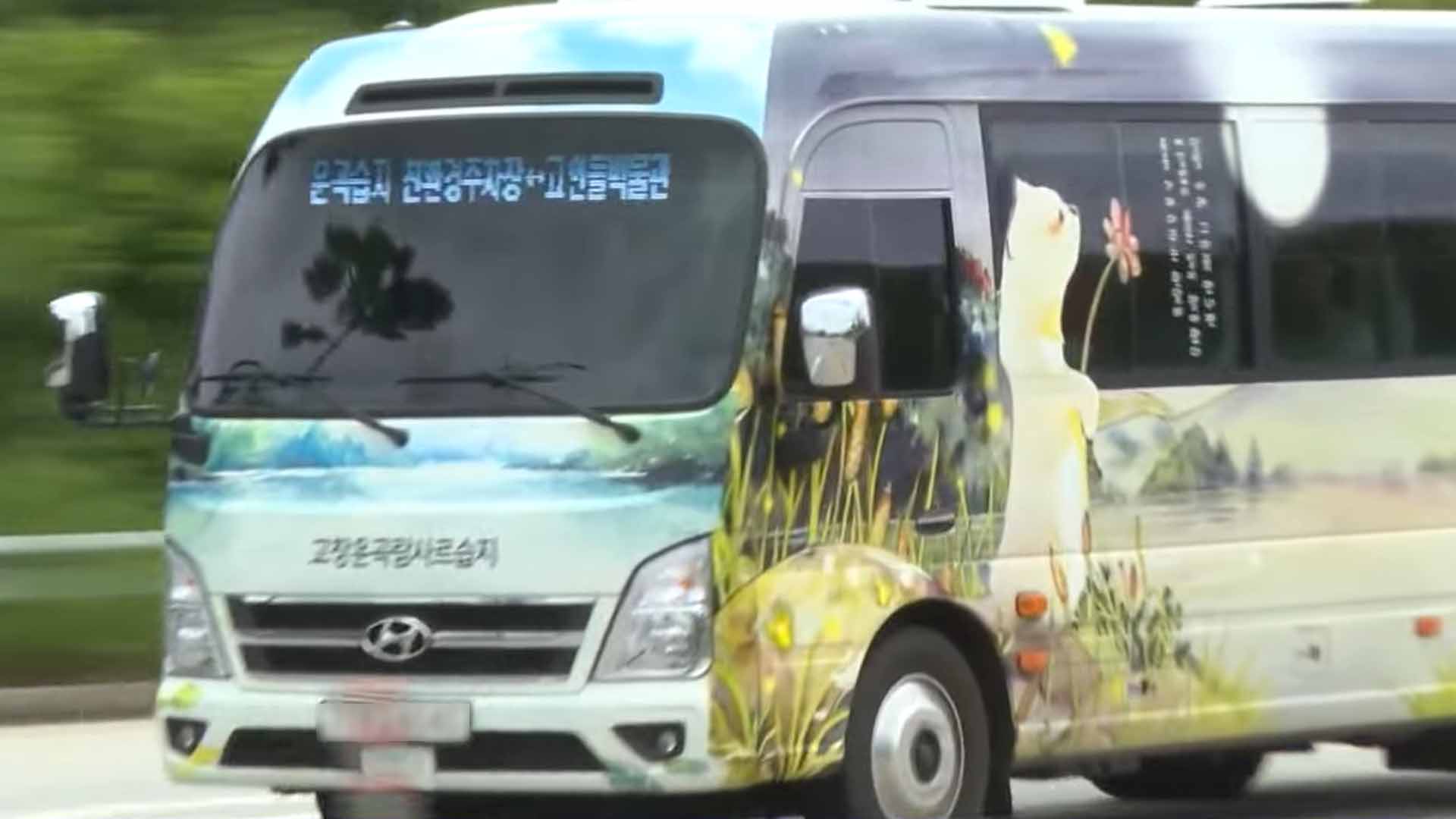 고창군 운곡습지~고인돌유적, 순환버스 운행 시작 [글로컬소식]