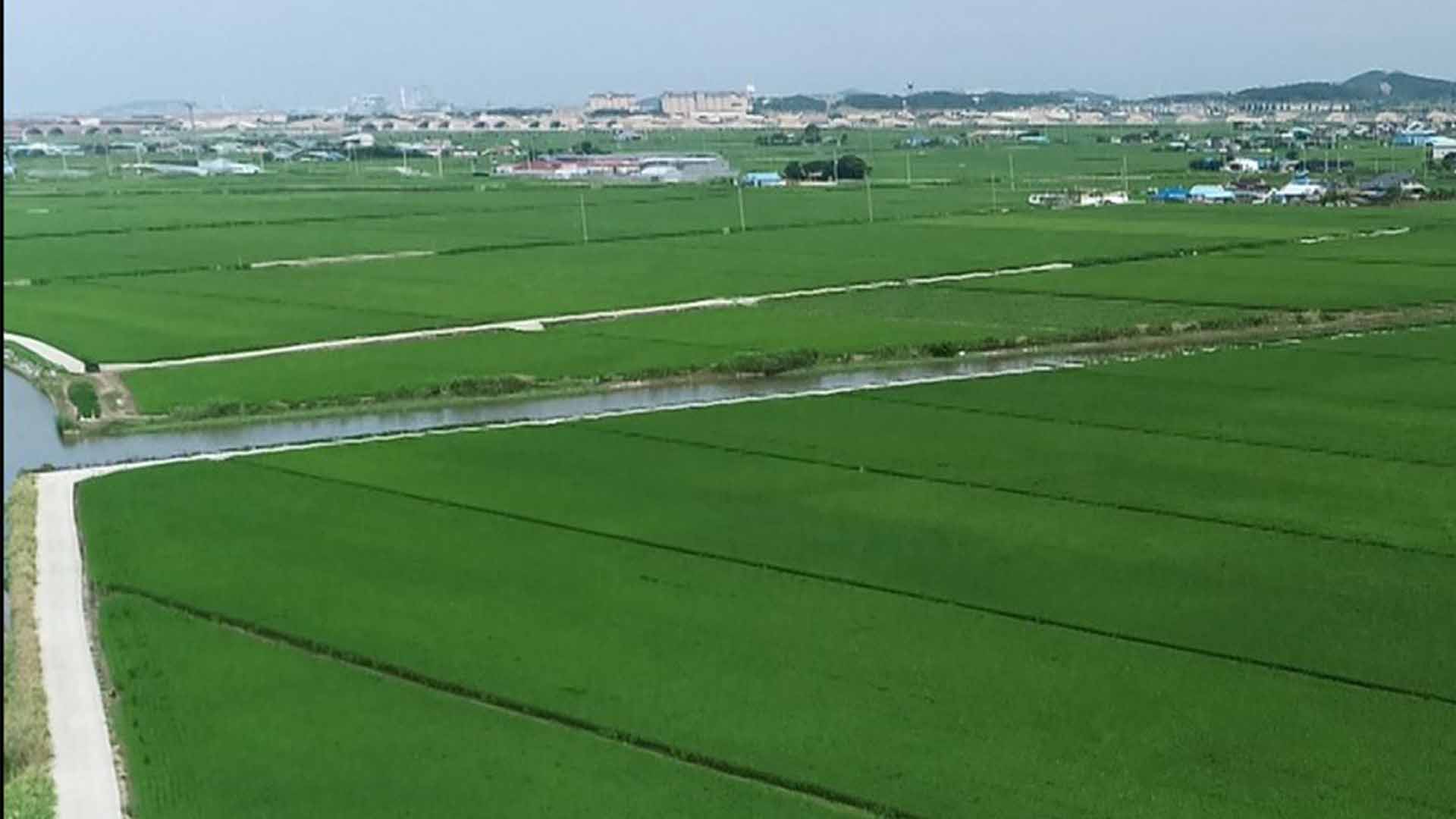 옥구저수지 저수율 43%..말단 농경지 용수 공급 민원