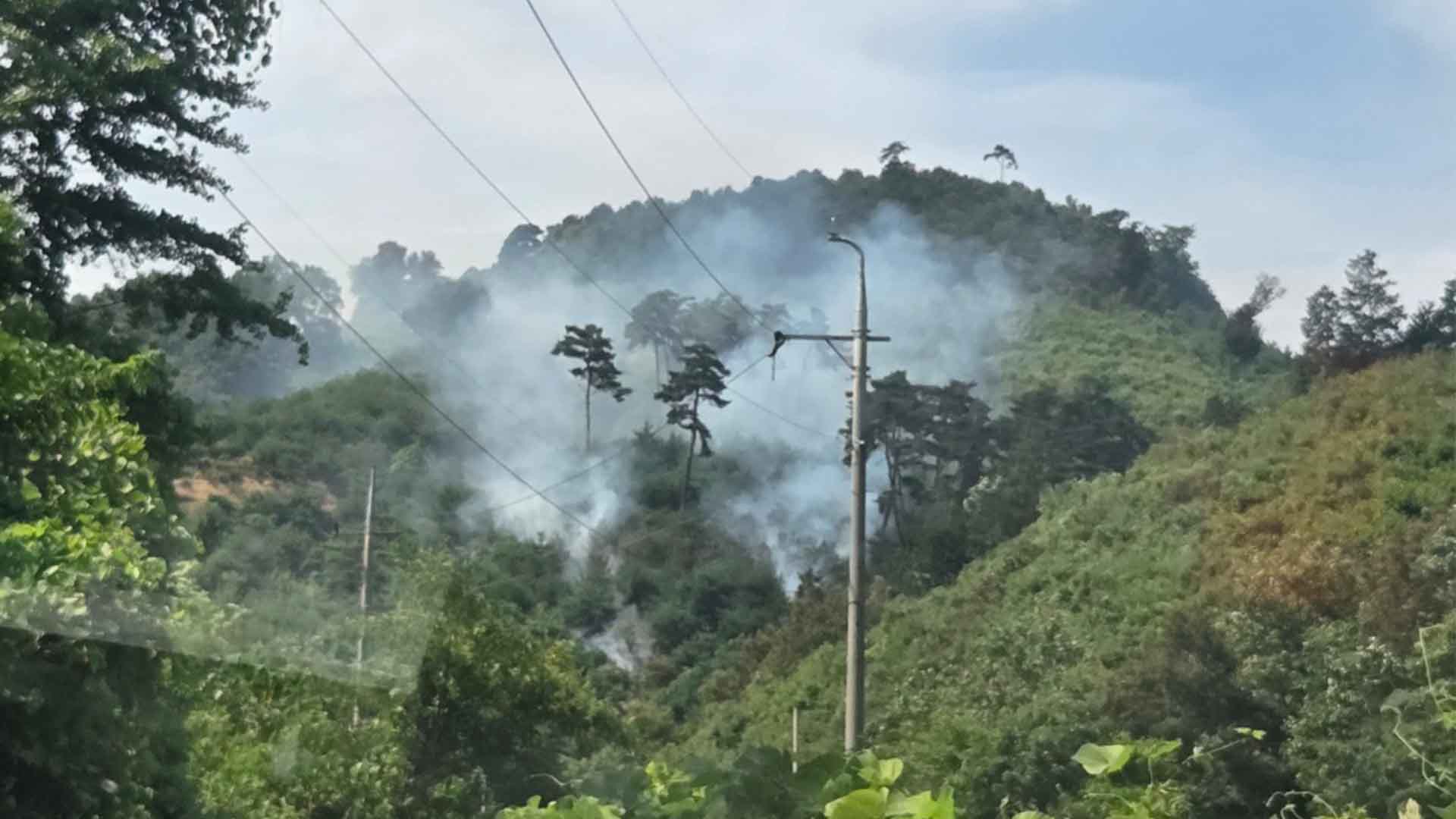 임실 산불 1시간 만에 꺼져.. 