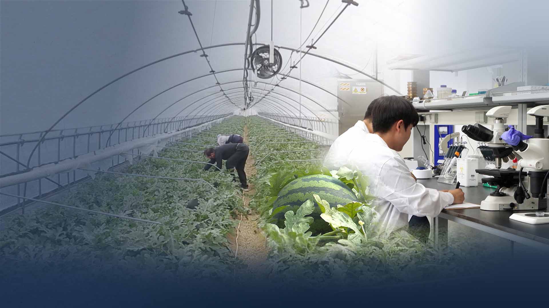 농업 시범사업, 
