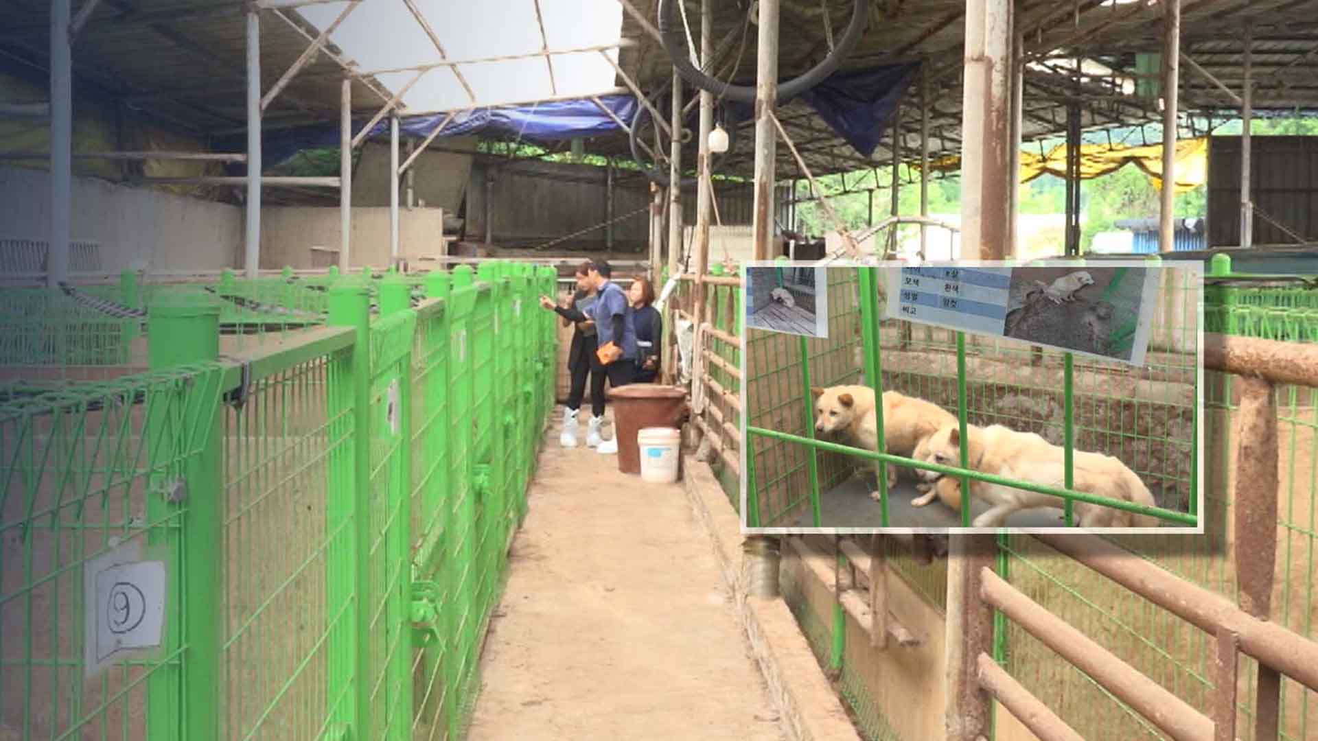 1500만 반려인구 시대... 동물보호소가 ‘혐오시설’?