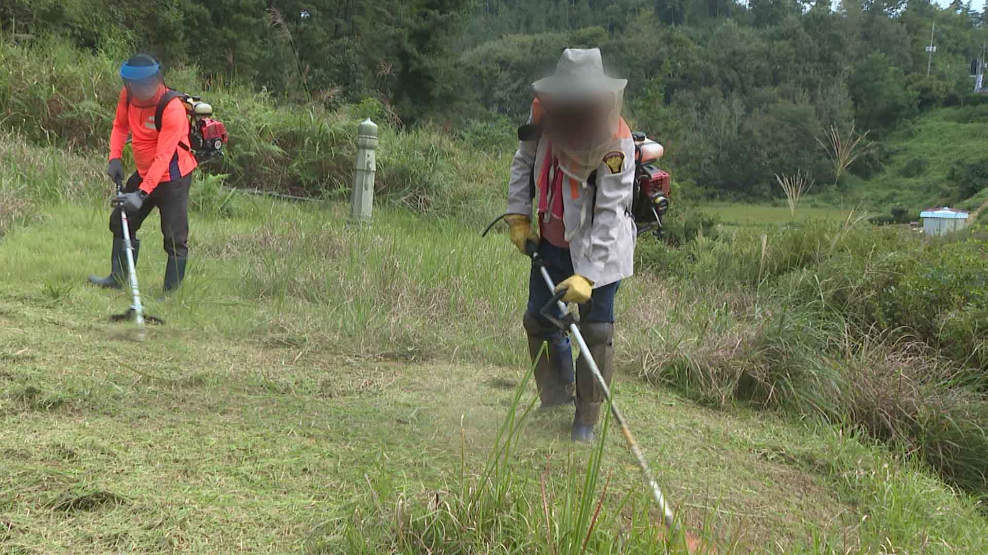 13개 산림 조합, 추석 앞두고 벌초 대행 서비스