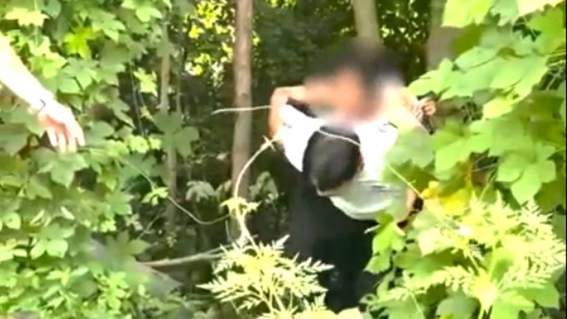 치매 80대 노인, 1.6km 떨어진 야산에서 구조