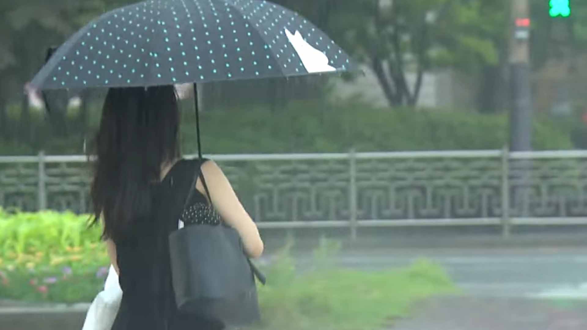 밤까지 비 계속.. 주말에도 최대 80mm 비