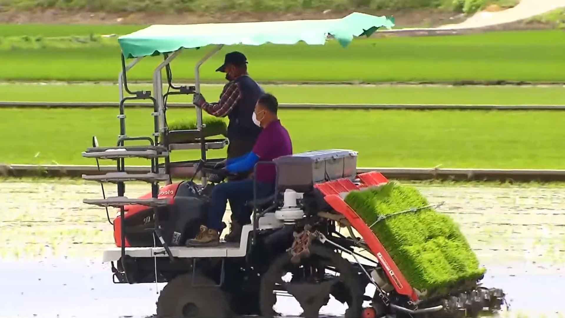 농업 면세유 특레 연장.. 상시화는 불발