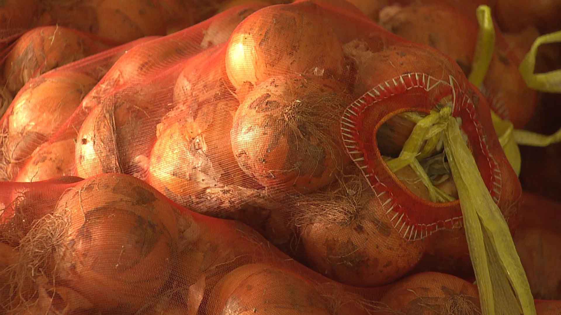 마늘·양파 평년 도매가 80% 수준 농가소득 보장