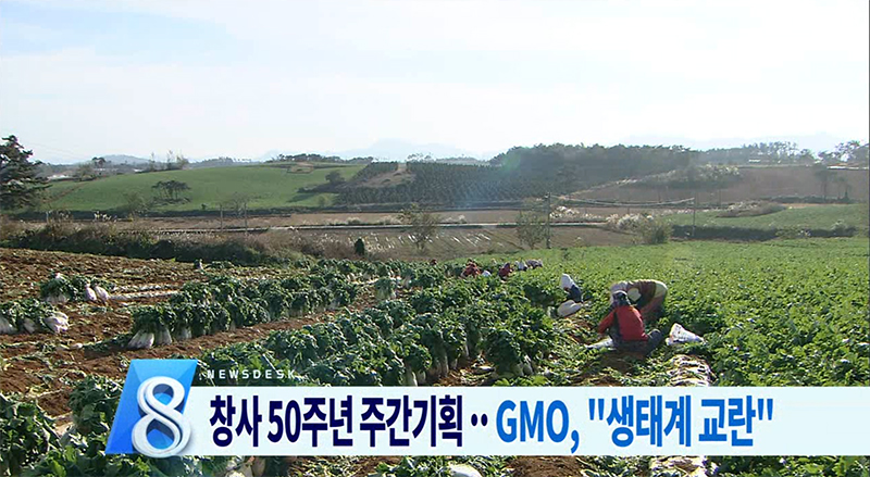 주간이슈)GMO4-국내 생태계 교란 우려